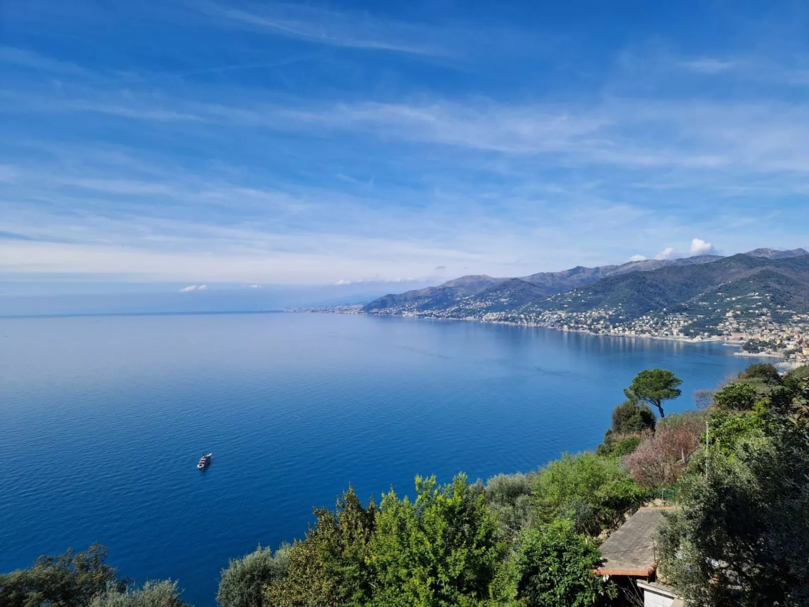 Ein Garten auf Camogli von Holiday World-Image-tags.info