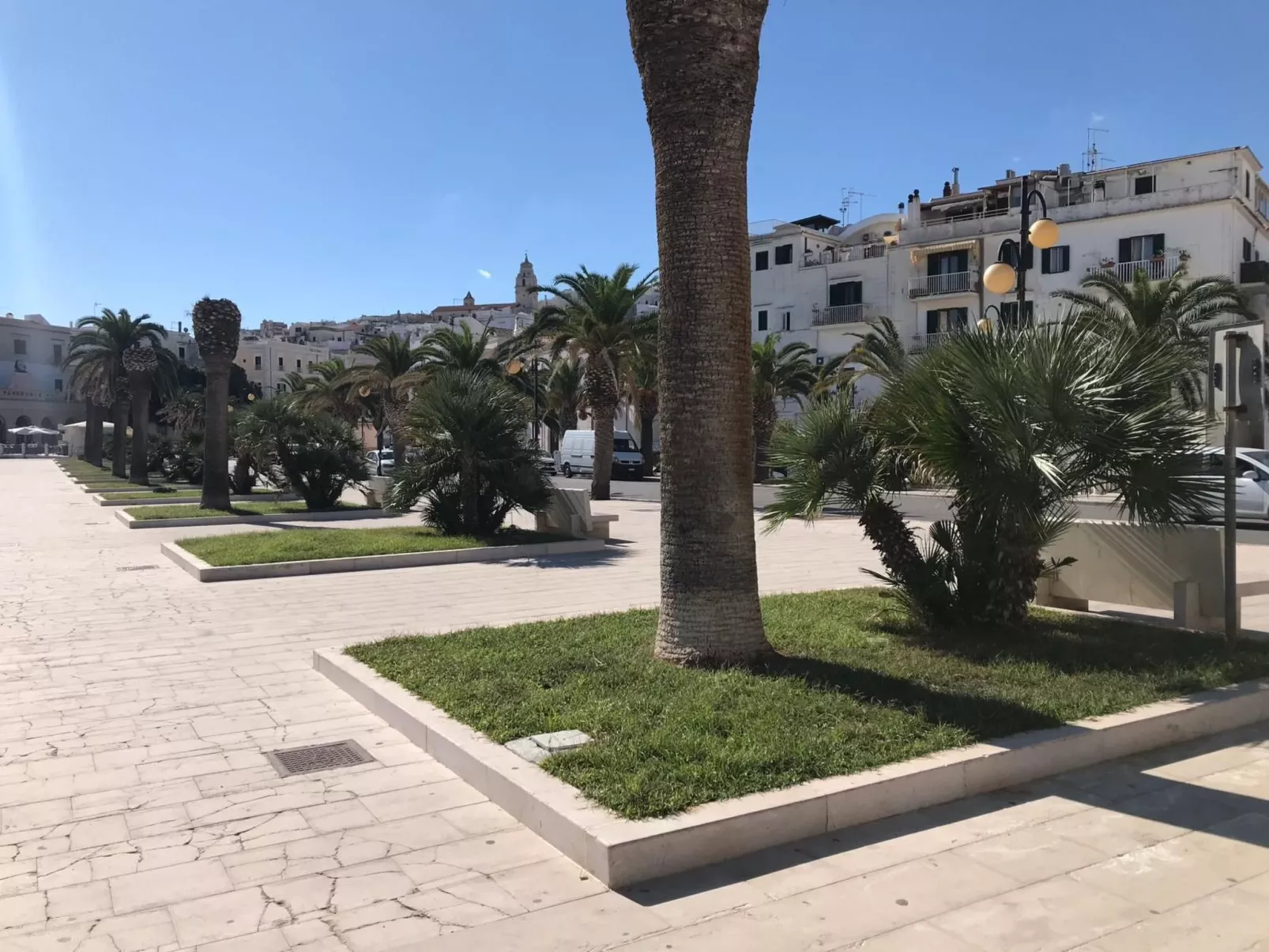 Wohnung in Vieste-Image-tags.info