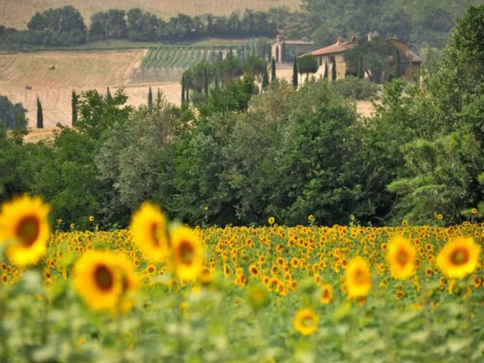 Agritourismus Val di Sterza-Buiten