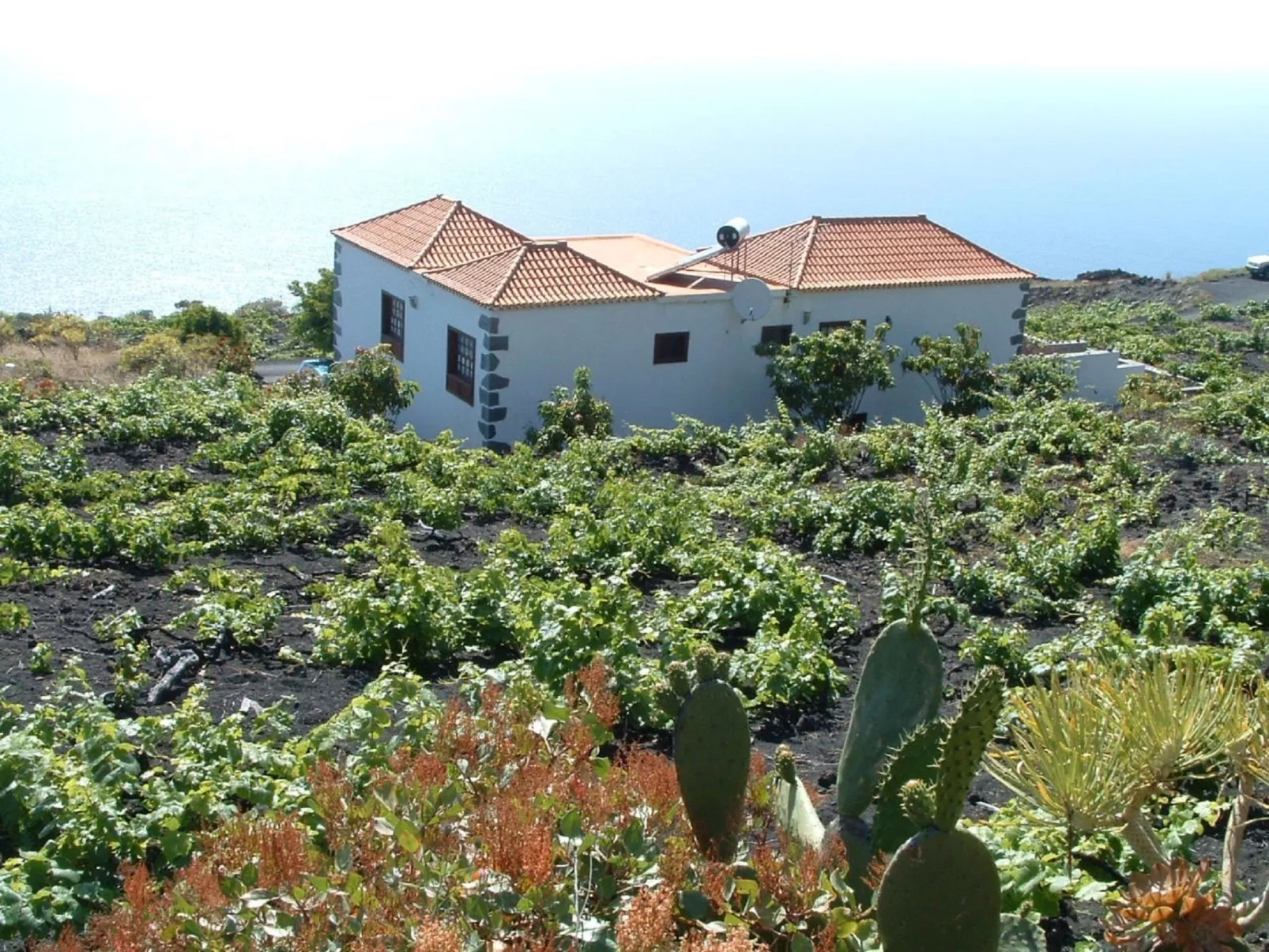 Mit Garten und wunderbarer Aussicht-Image-tags.info