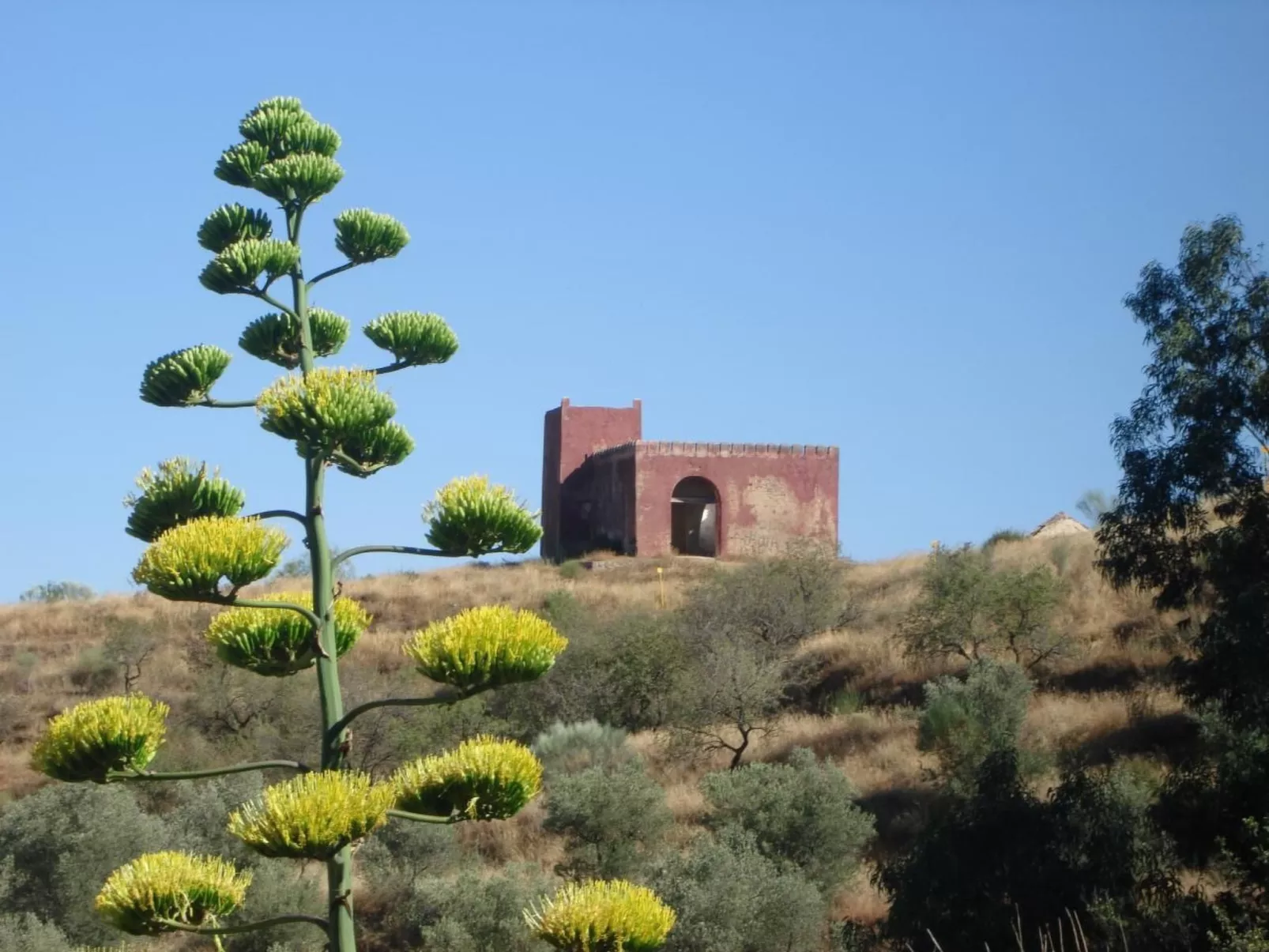 Gemütliches Ferienhaus in Tíjola mit Grill, Garten und Terrasse-Image-tags.info