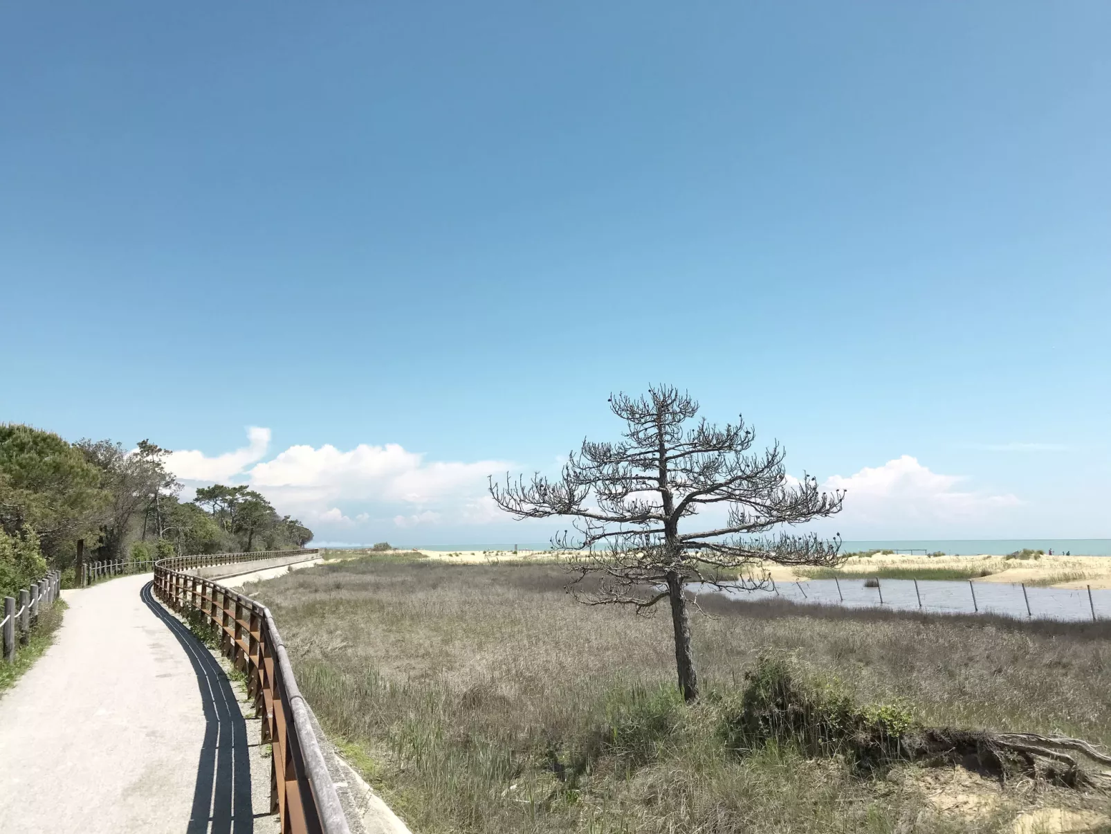 "Manuela 3" A mit Balkon-Omgeving