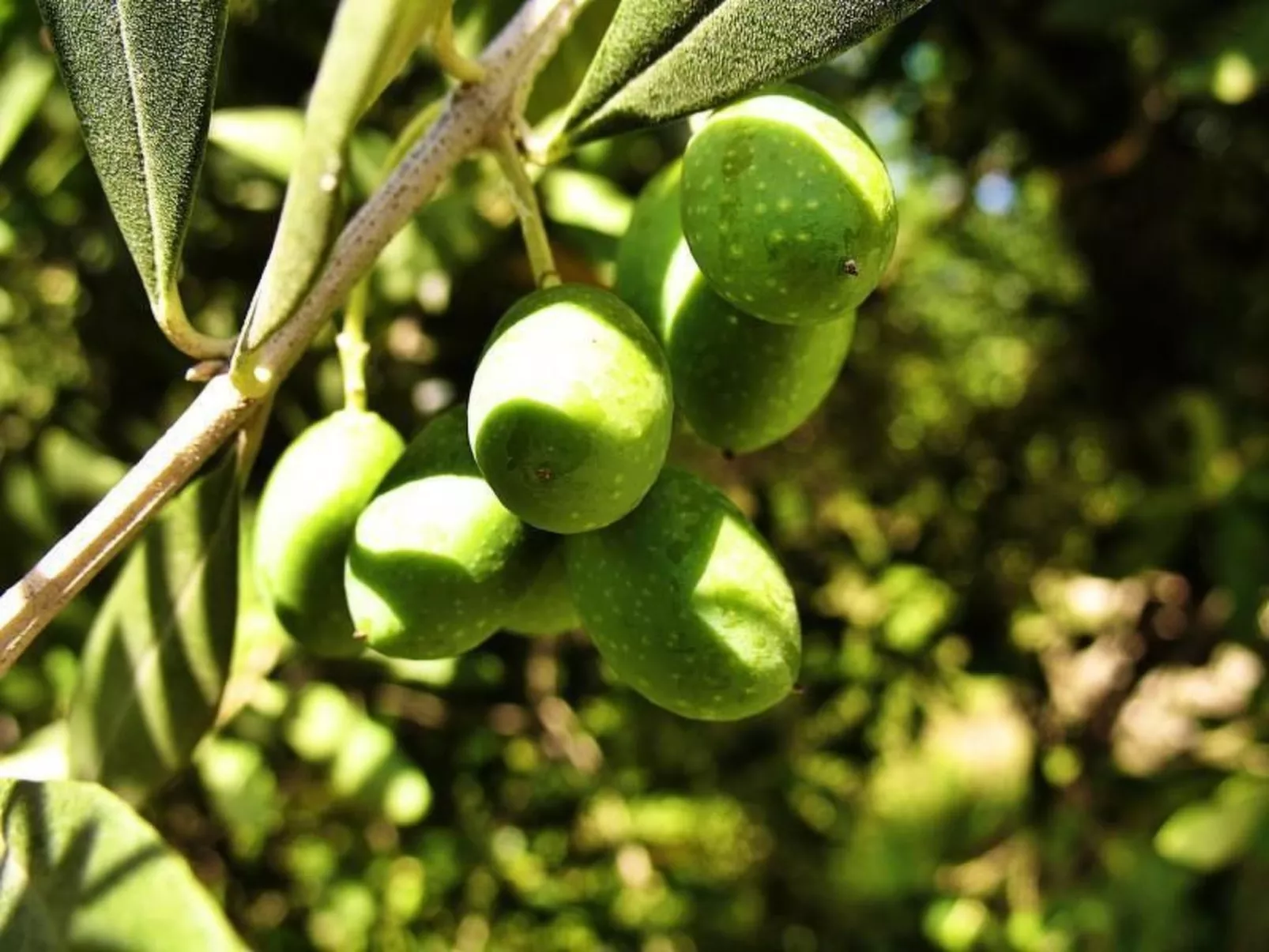 "Appartement für 3 Personen"-Buiten