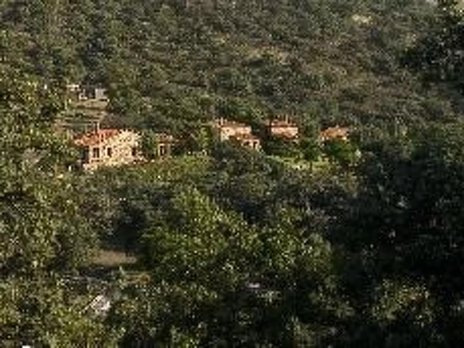 La Cigüeña-Image-tags.info