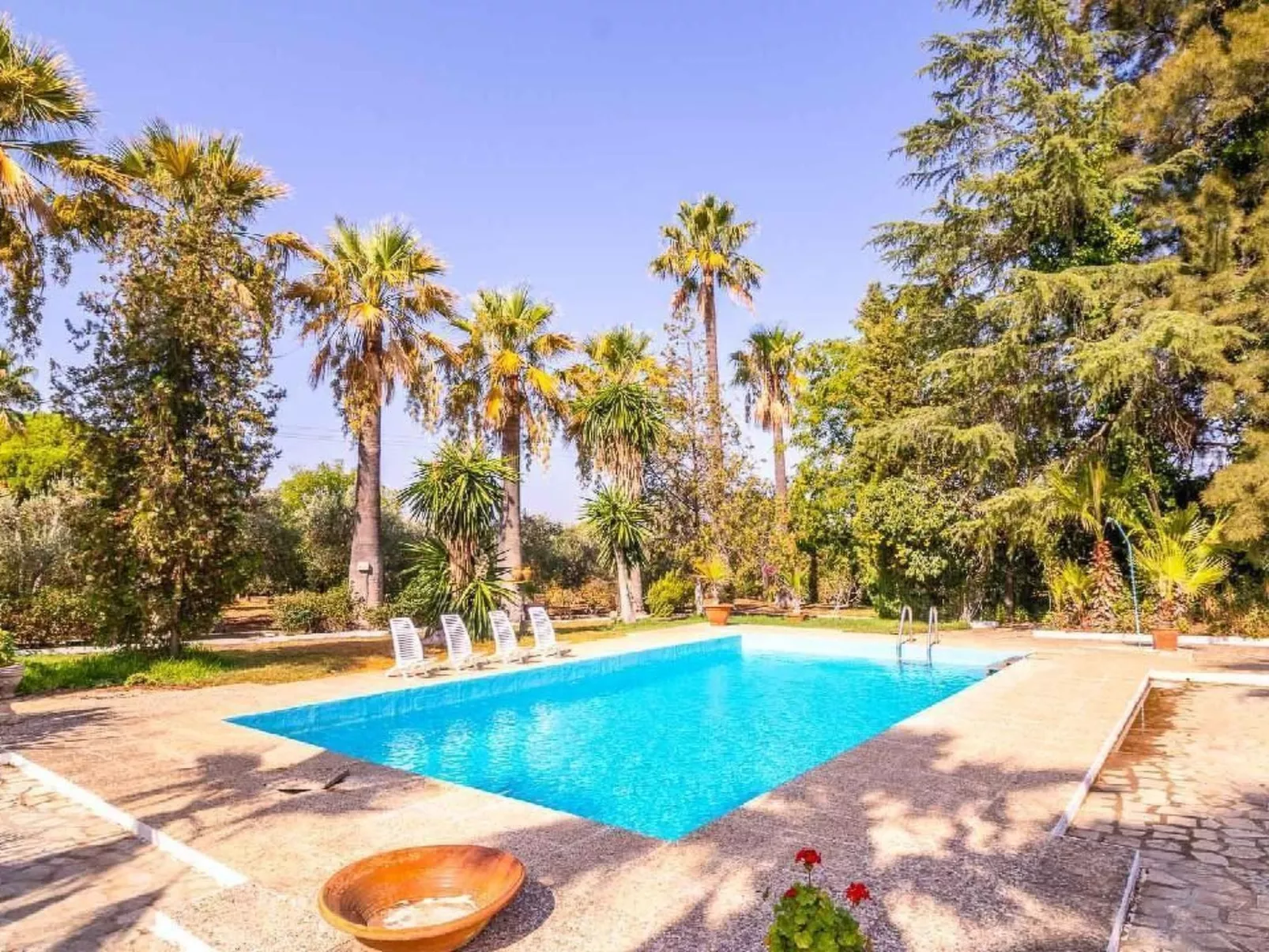 Casa Rural Santa Ana in Marchena, Sevilla-Image-tags.info