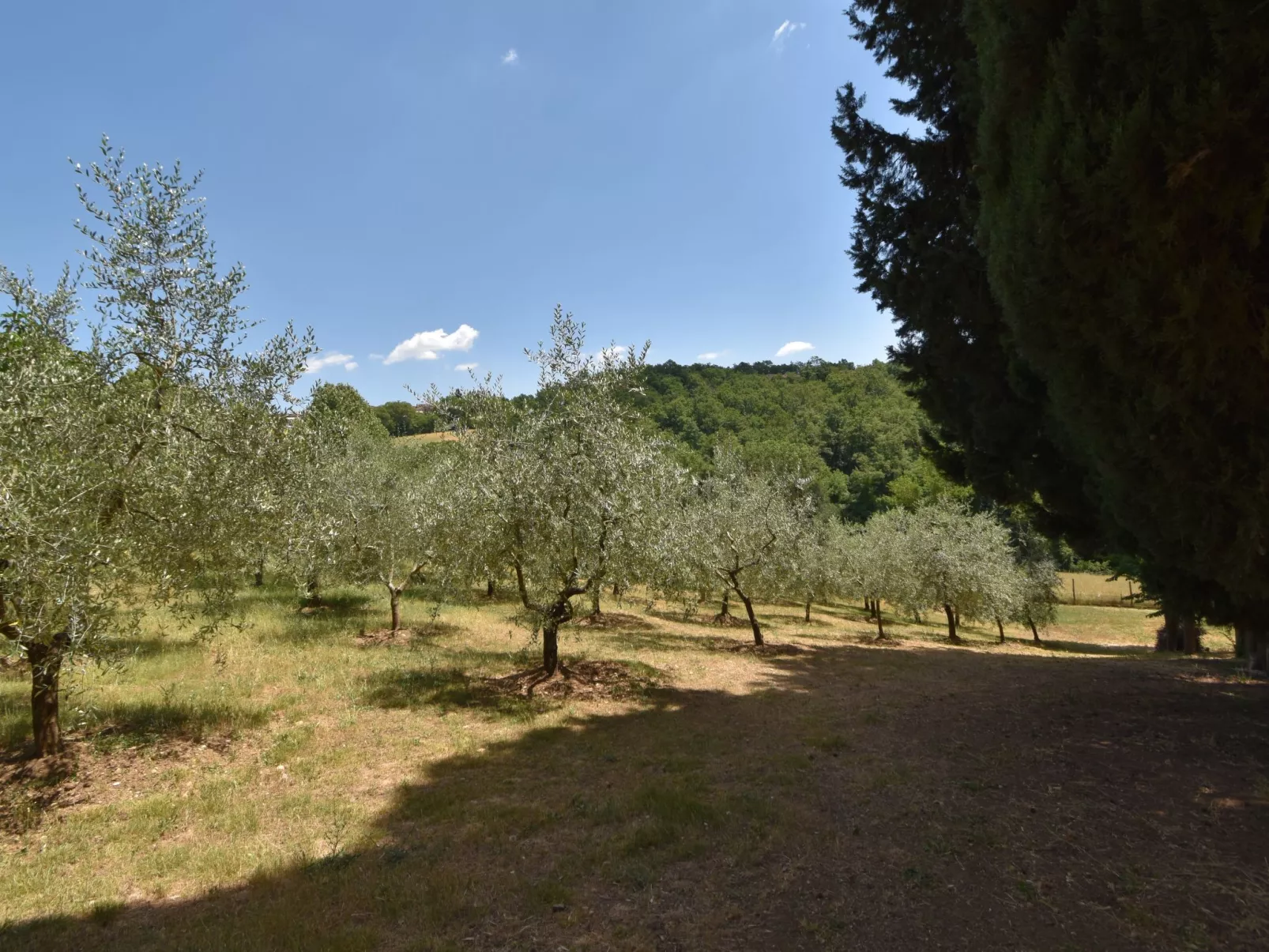 Wohnung in Bauernhaus mit großem Garten, Schwimmbad-Buiten