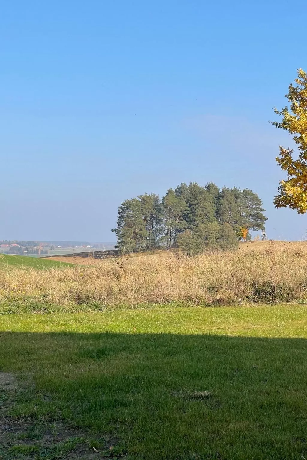 Vogelecke - abseits des Trubels und der Hektik-Image-tags.info