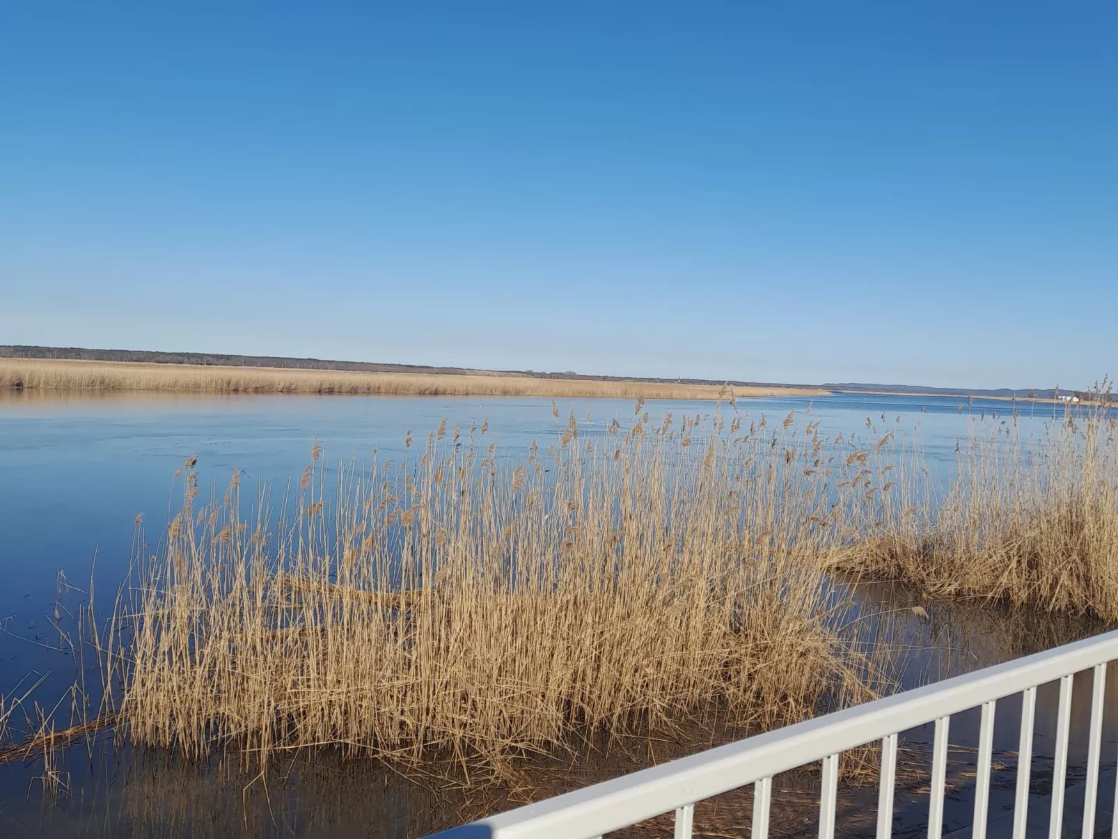 Haus in Karsibór mit Grill, Terrasse und Garten-Buiten
