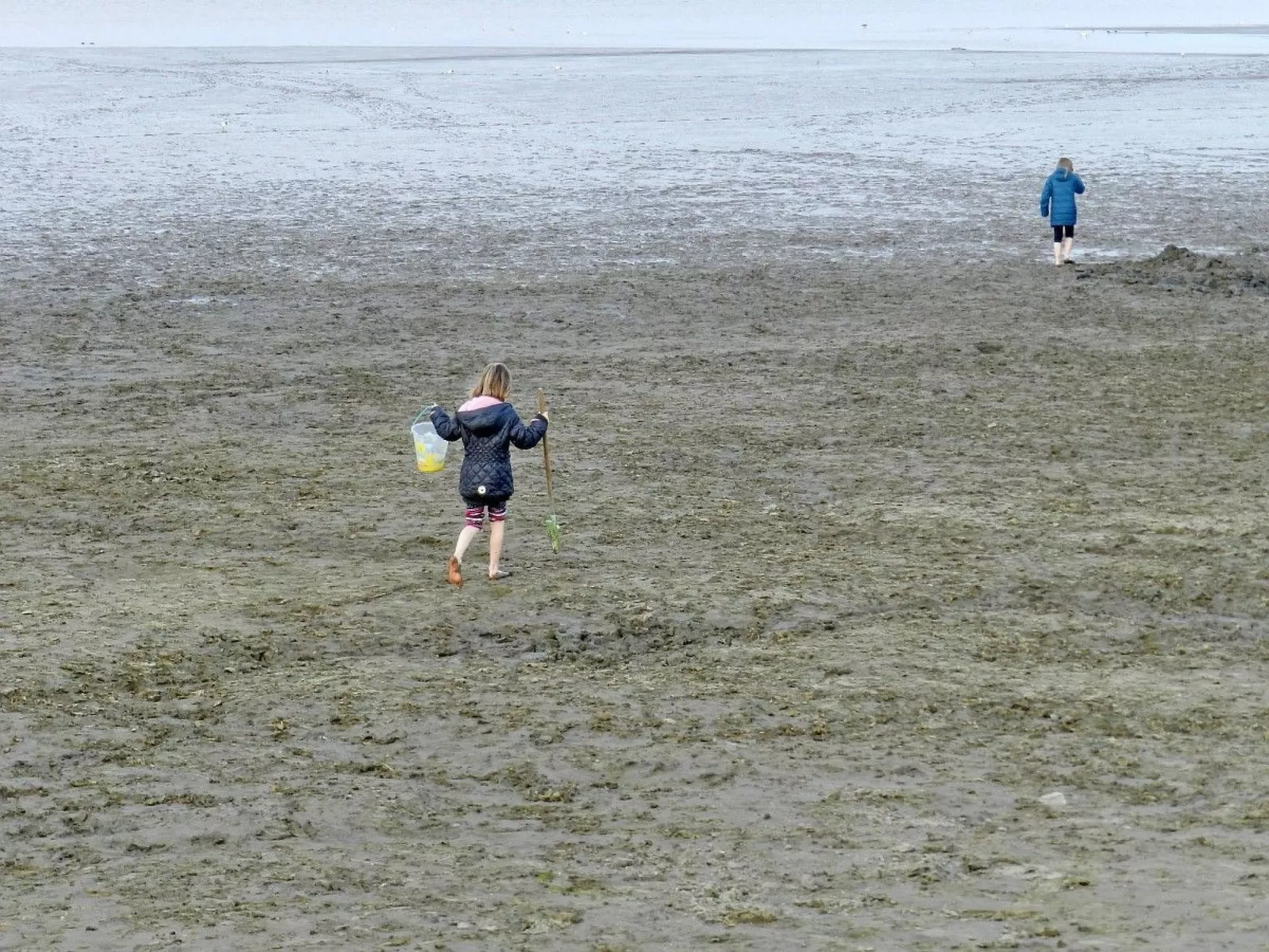 Deckboot-Image-tags.info