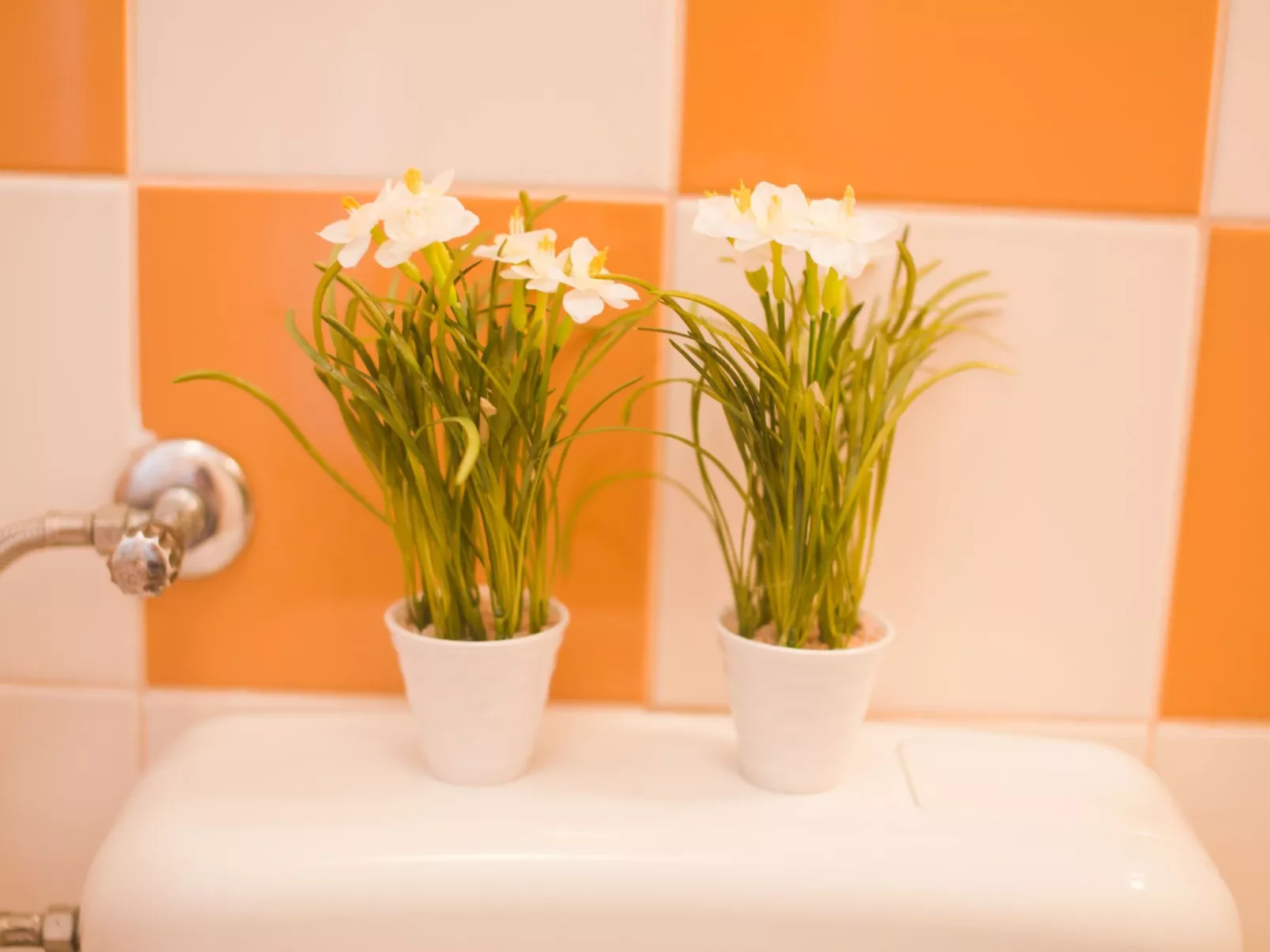 "Mango" direkt am Strand-Binnen