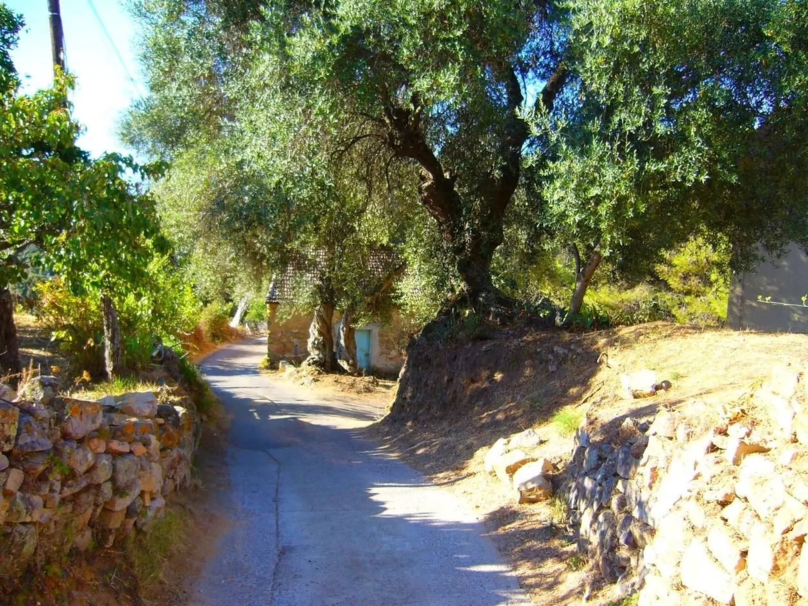 Mit Blick auf das Wasser-Buiten