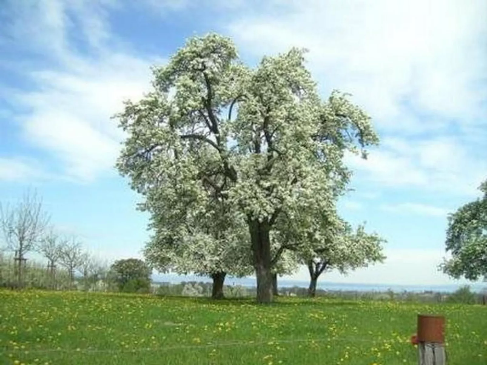Biohof-Enderlin-Buiten