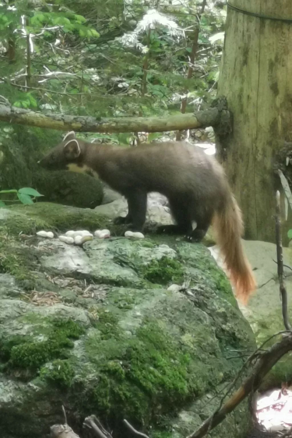 AnNo Wohlfühlen Bach-Buiten