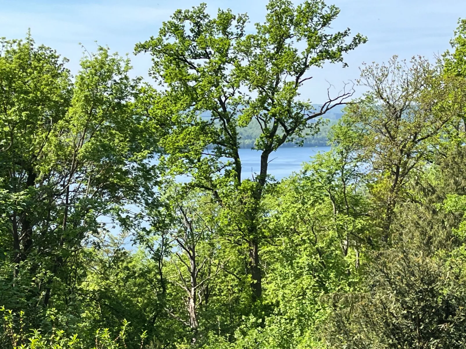 Schlossblick mit Teilseeblick-Binnen