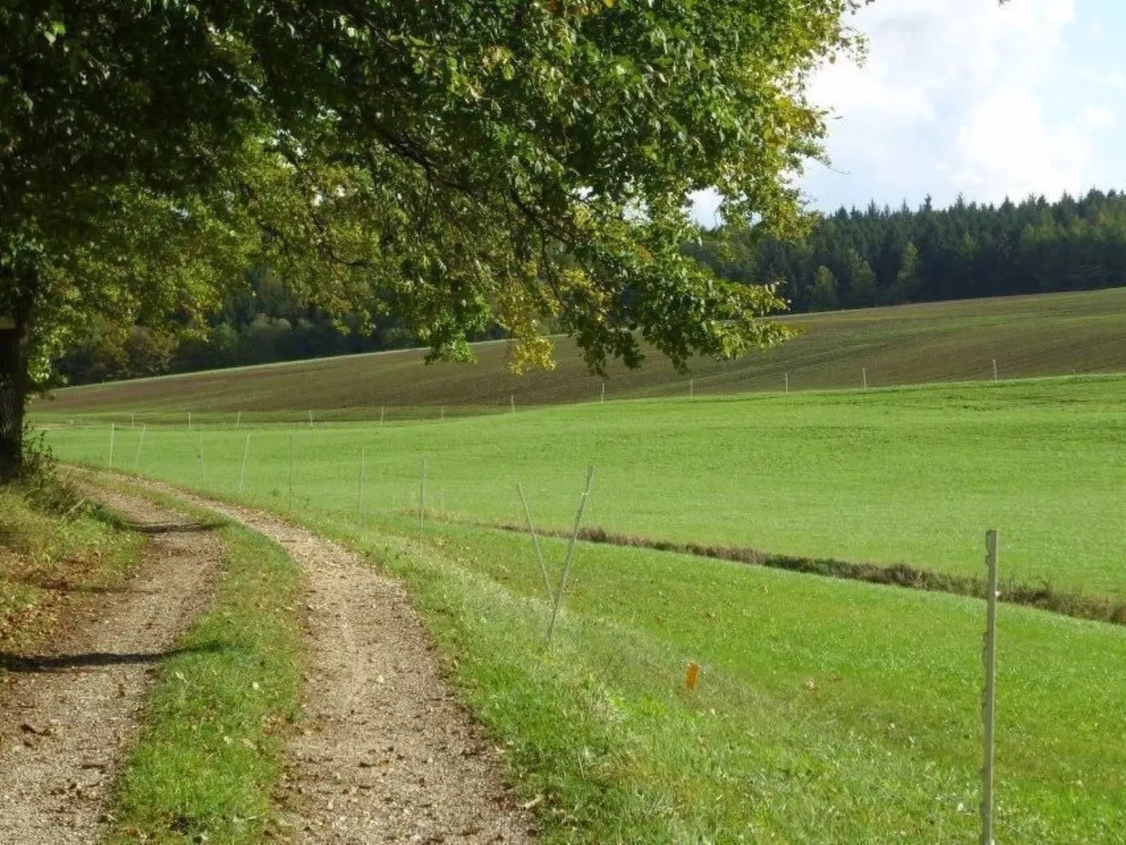 Wohnung in Oberwaldbach mit Garten und Grill-Buiten