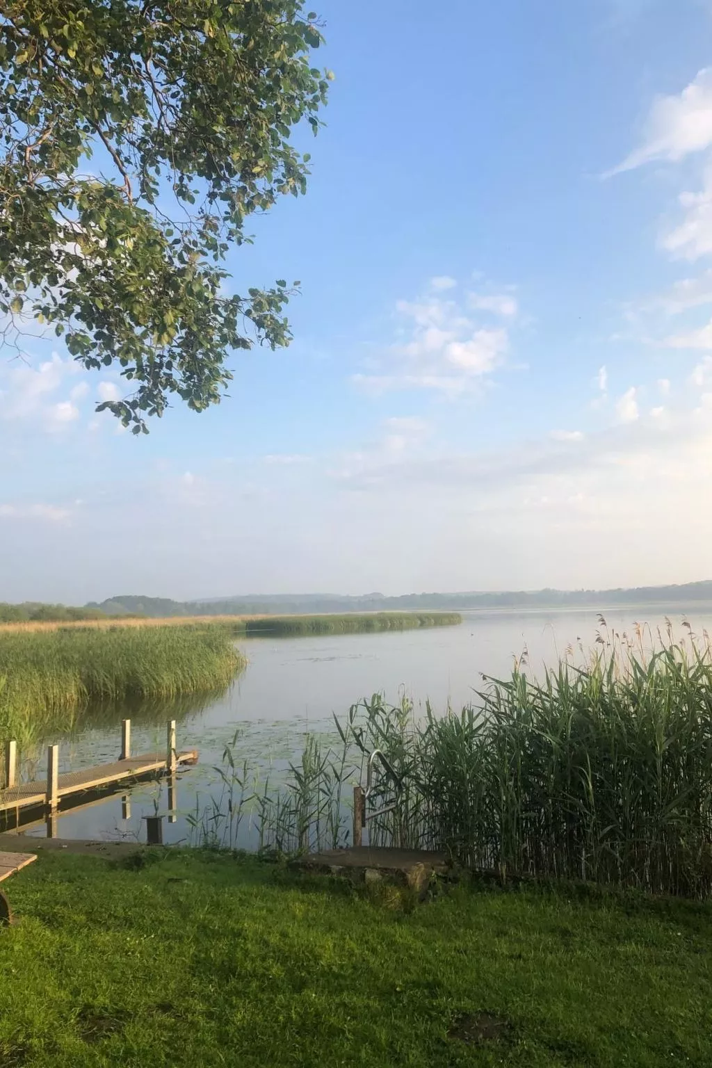 In Dahmen Terrasse und Grill-Buiten