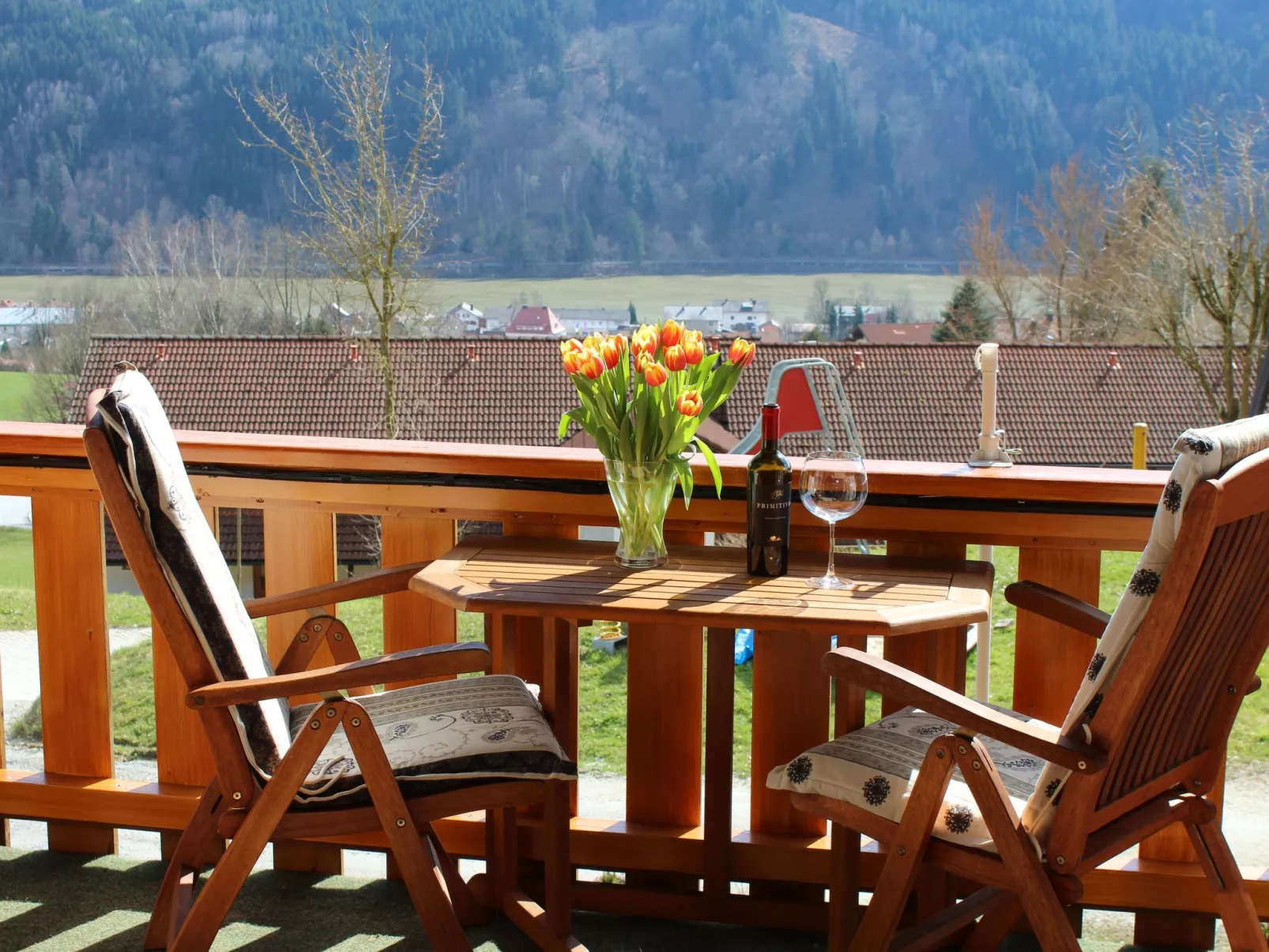 Gemütliche Ferienwohnung mit Blick auf die Donau-Buiten