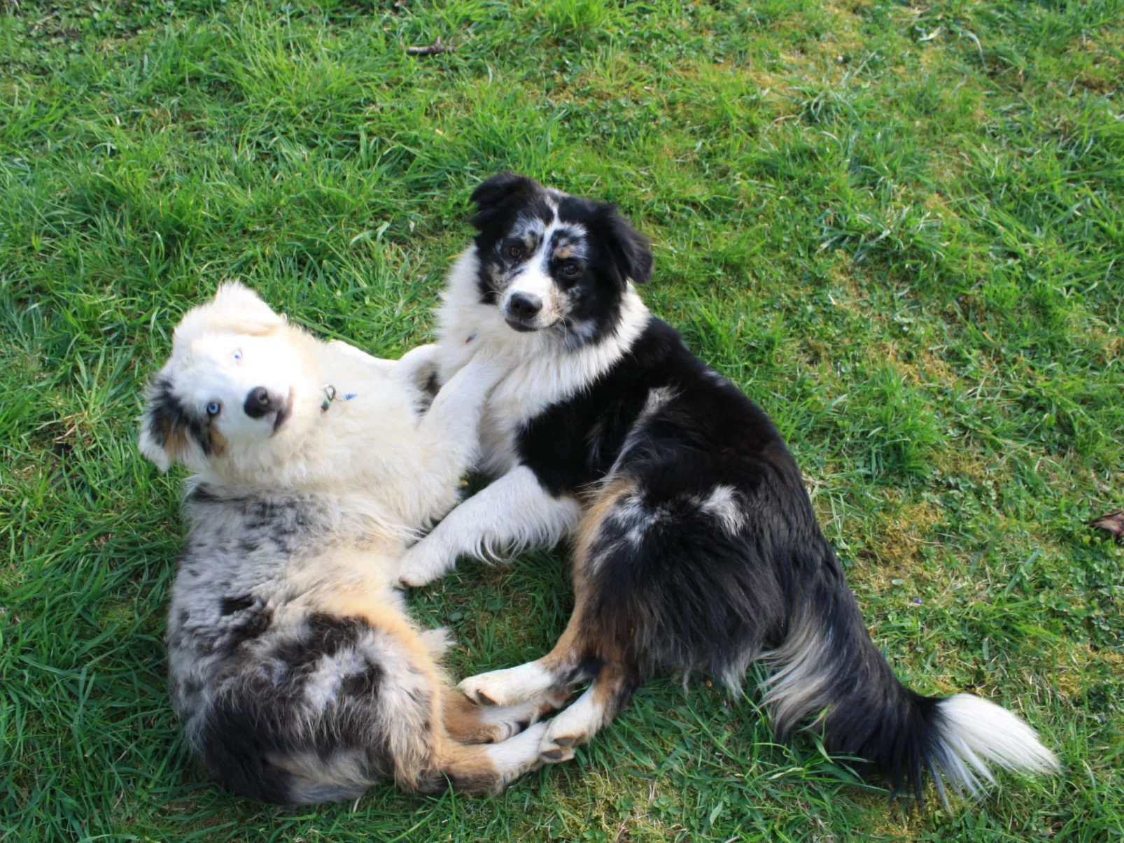 Kleine Fewo - Image-tags.info