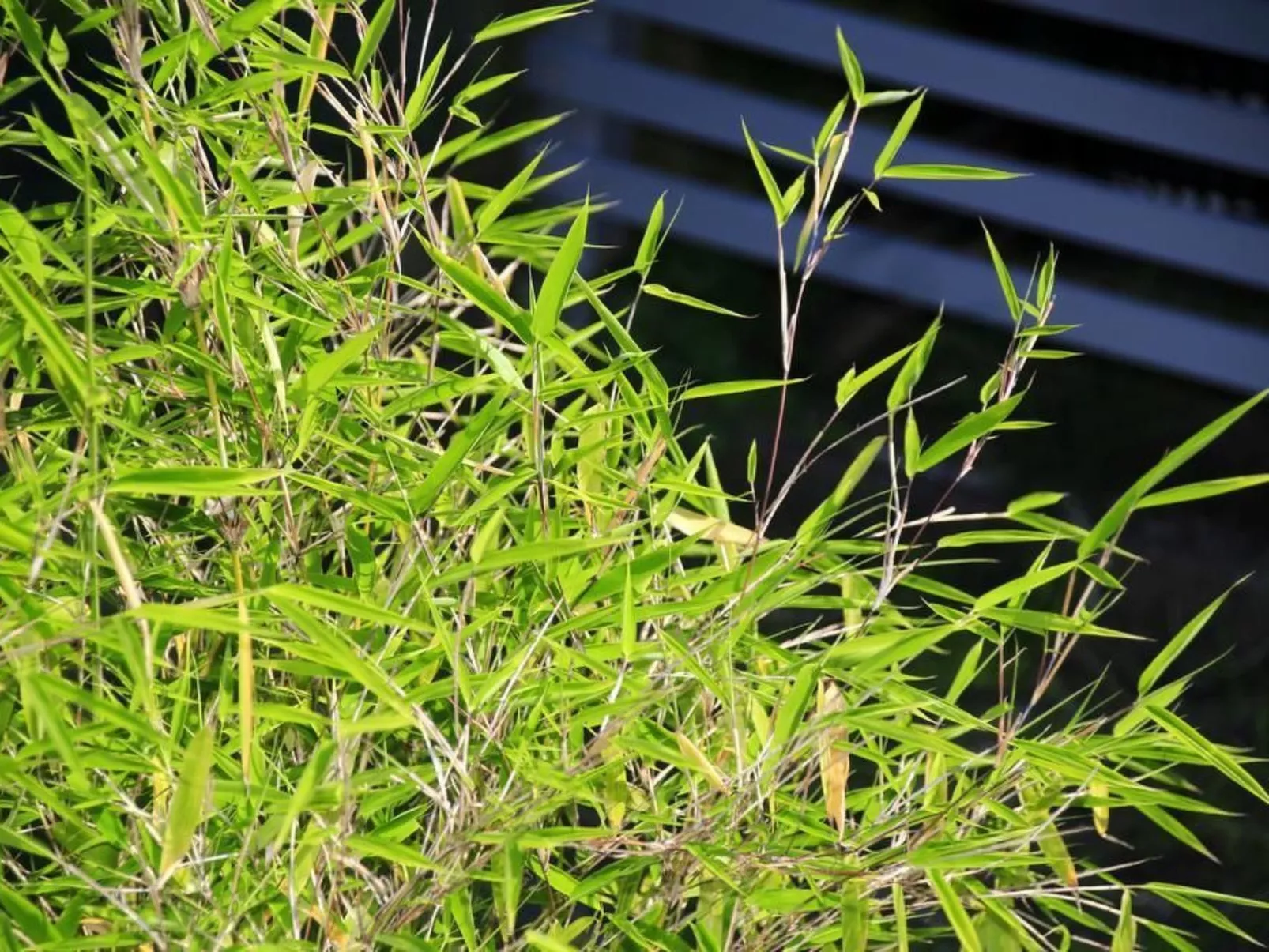 In Storkow mit Schönem Garten-Image-tags.info