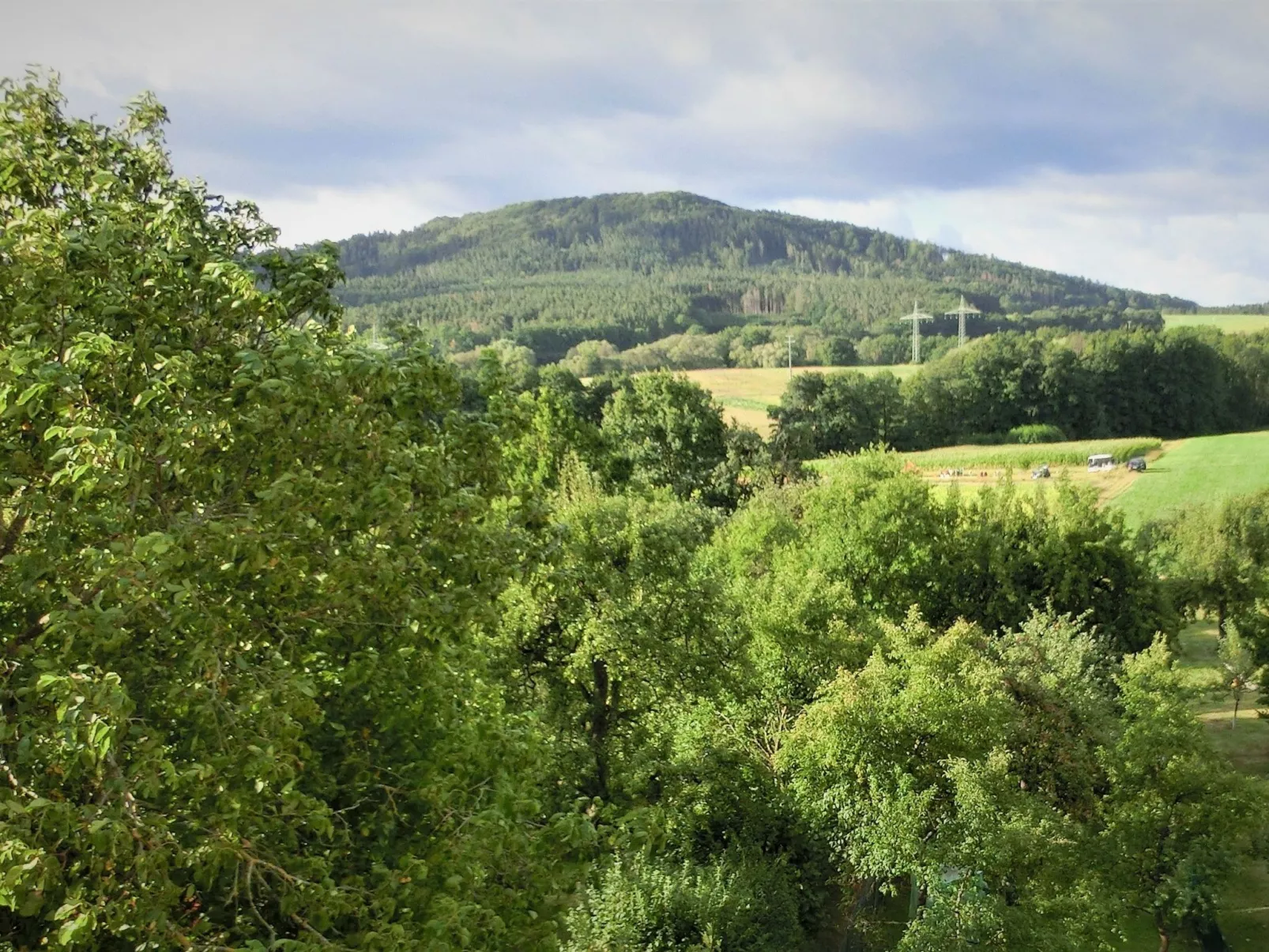  Lauf-Image-tags.info