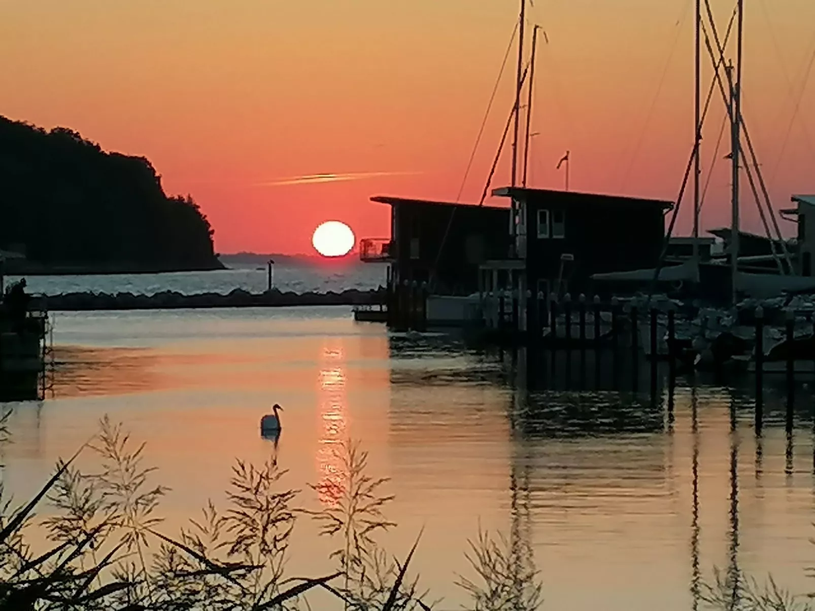 Boddenblick-Vilm-Buiten