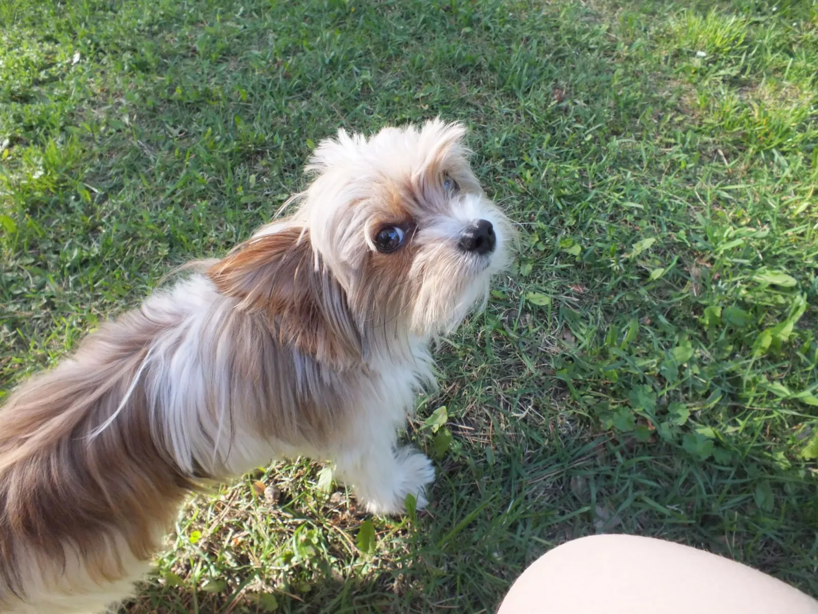 Bungalow Waldidyll-Buiten