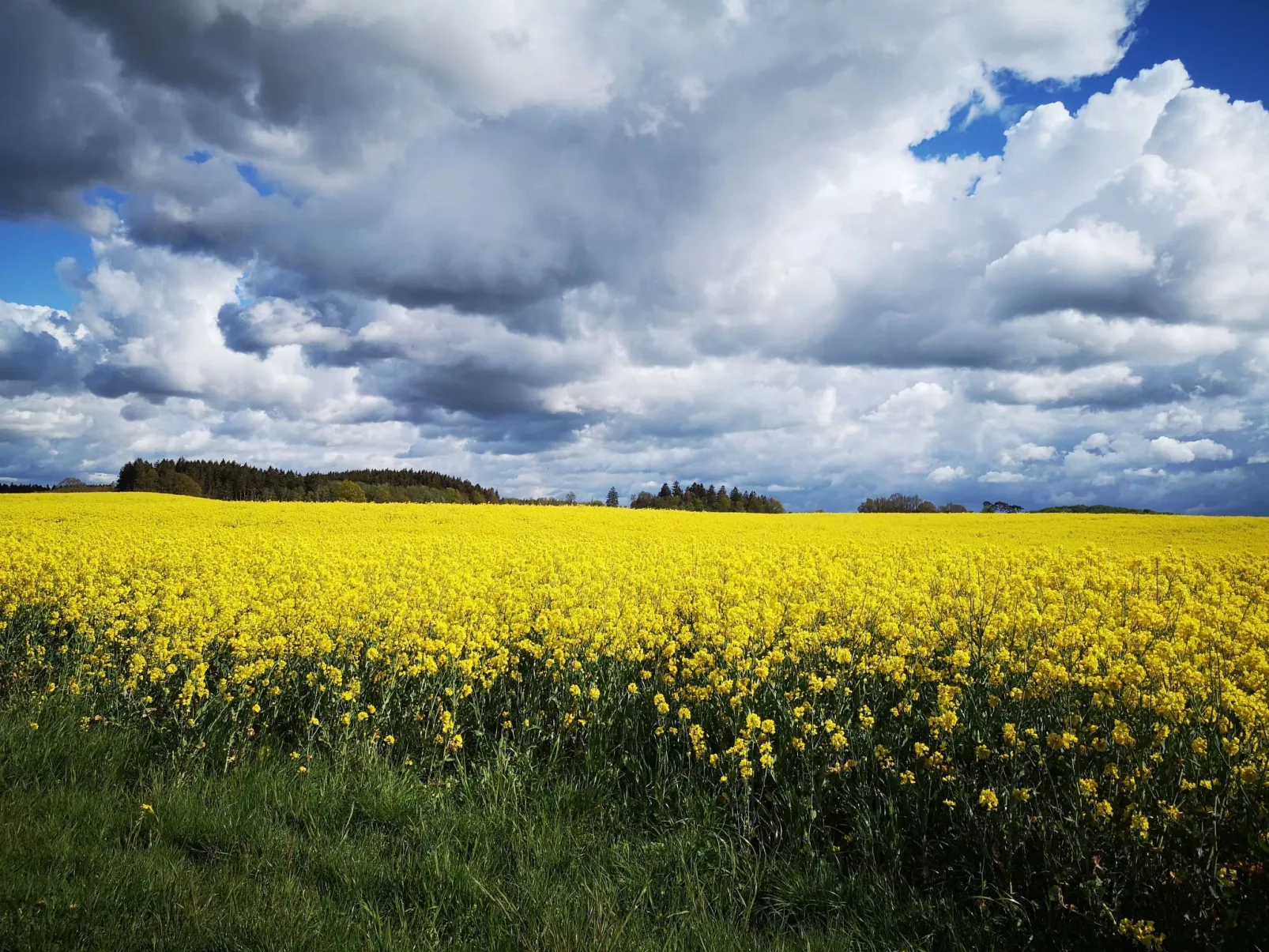 FH Salzhaff-Urlaub-Buiten