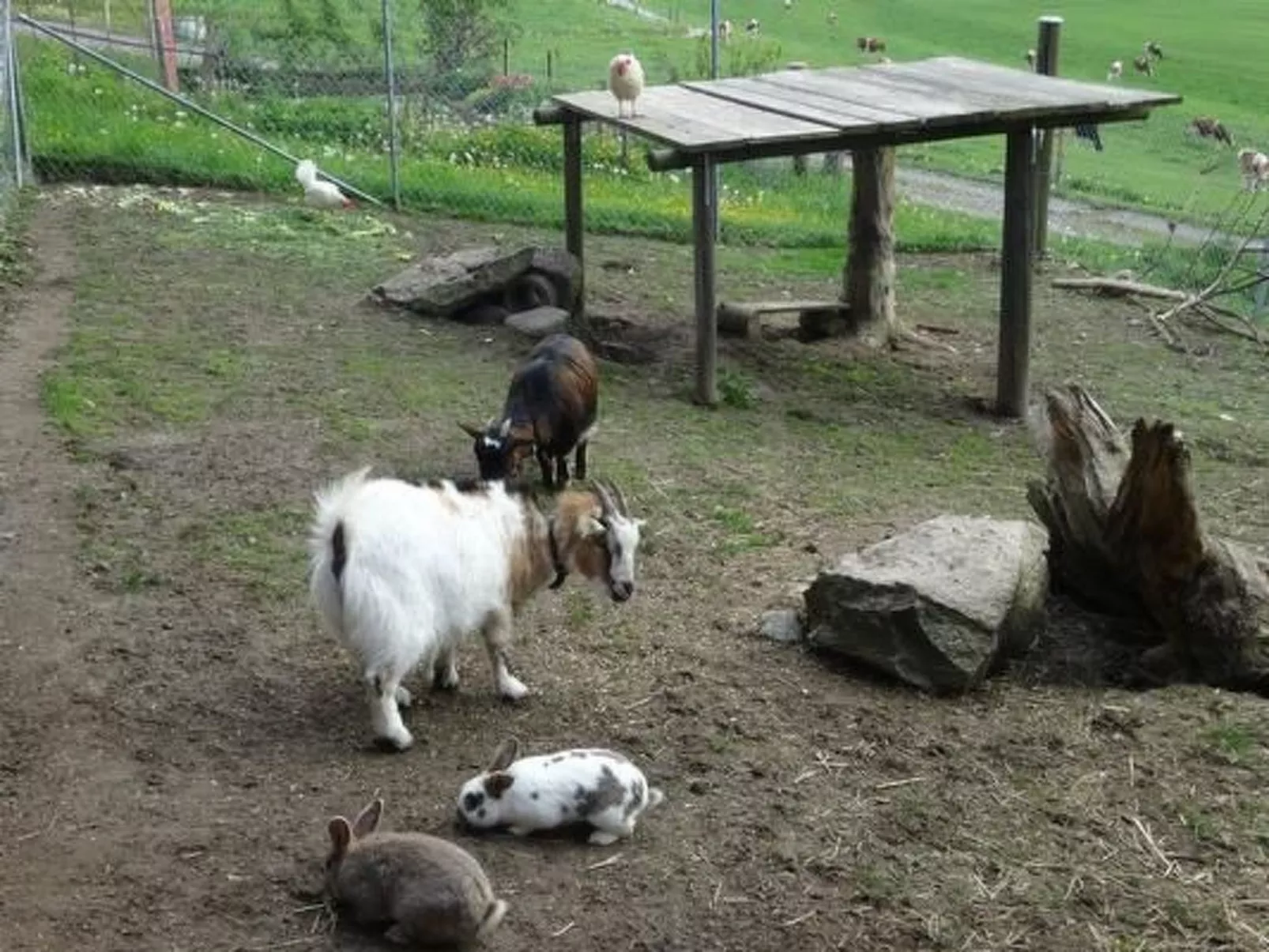 Hof Schürweid - Buiten