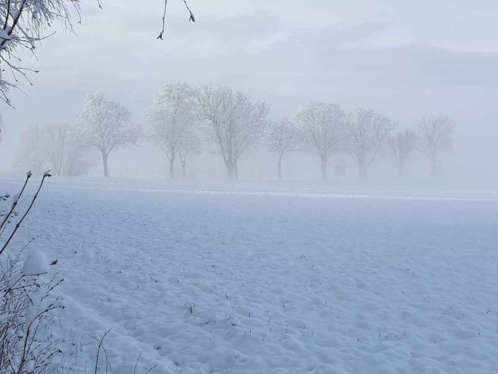 Landhaus Müritzliebe-Image-tags.info