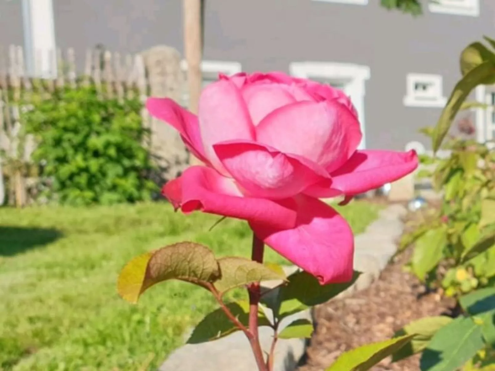 Waldstein Terrassen-Image-tags.info