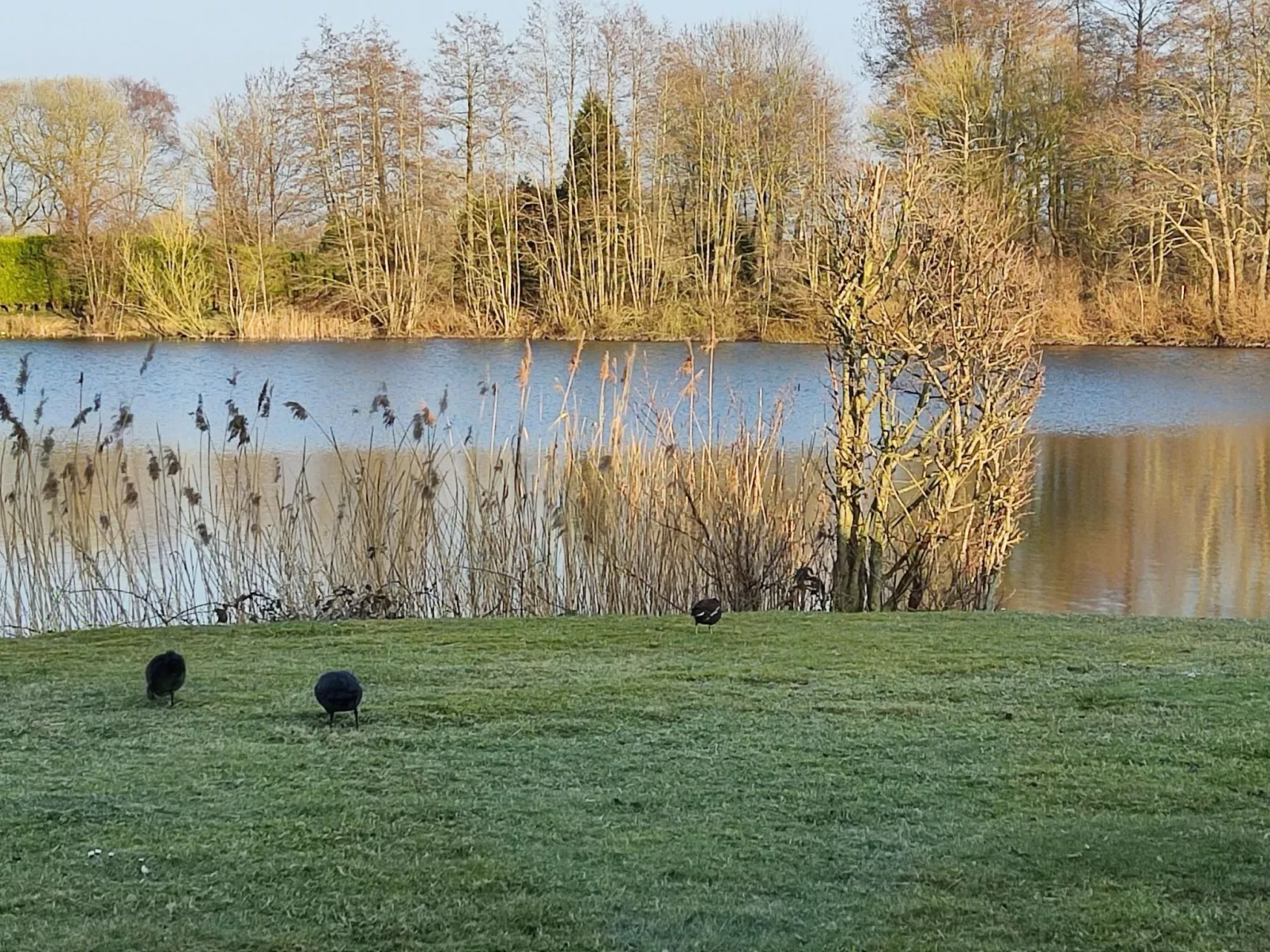 Landromantik mit traumhaftem Seeblick-Buiten