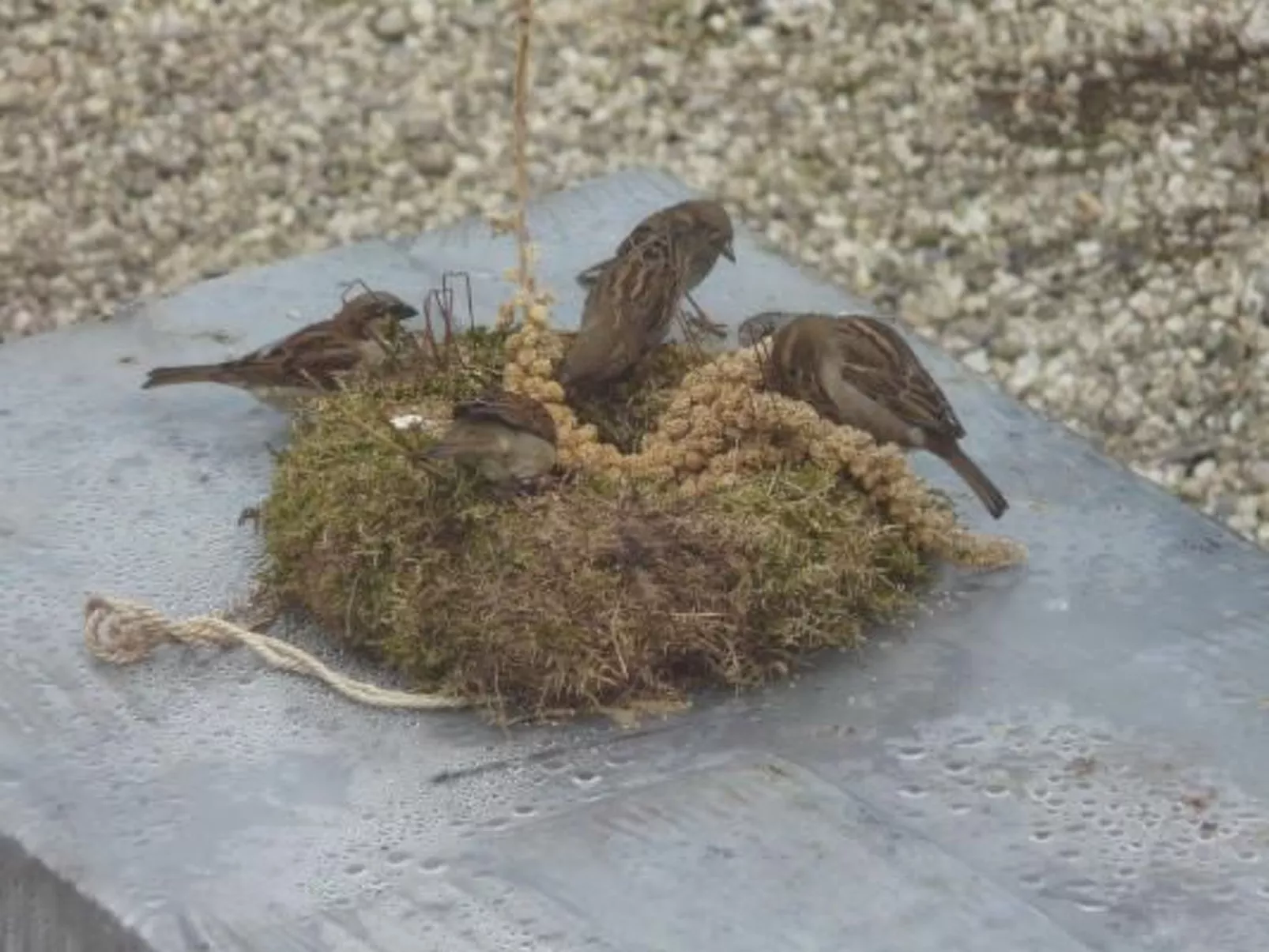 Wohnung auf dem Bauernhof-Image-tags.info