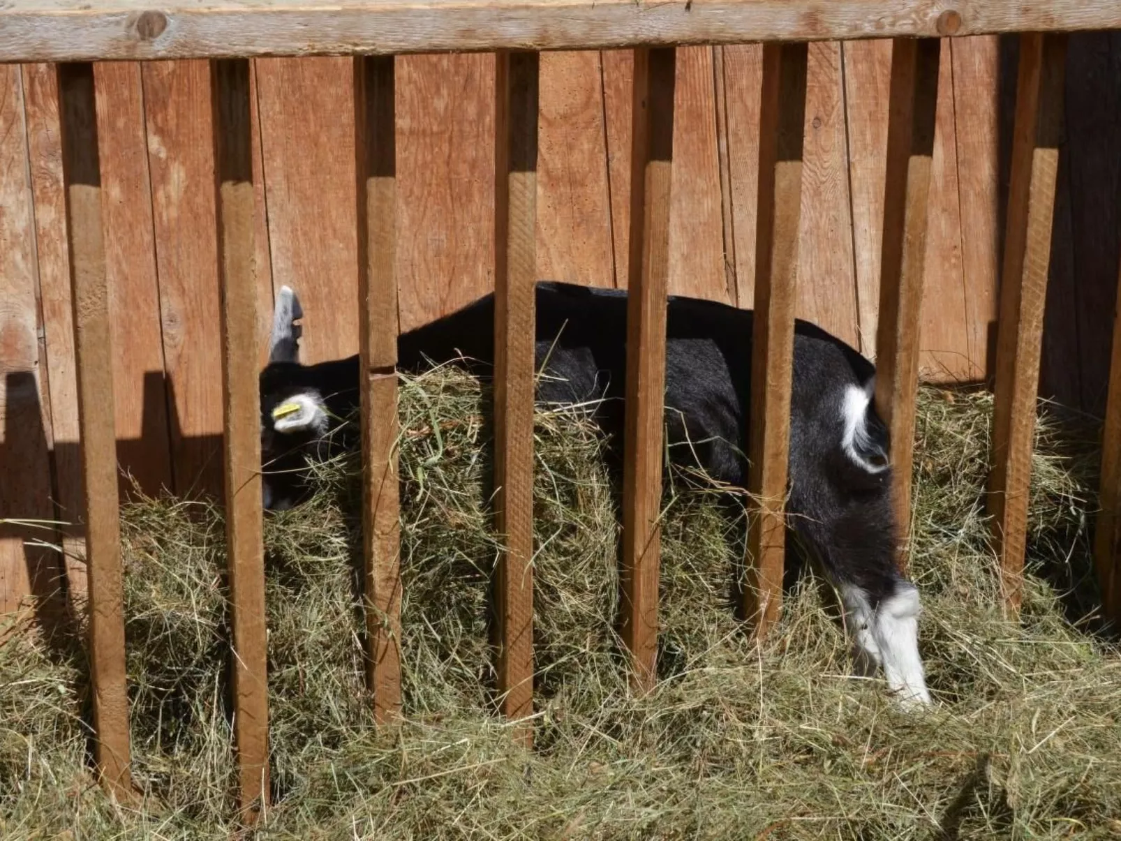 Biohof Furn-Image-tags.info