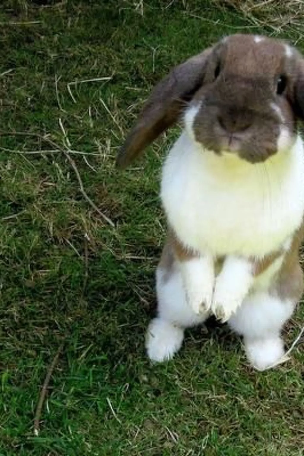 Bauernhaus Bleiche-Binnen