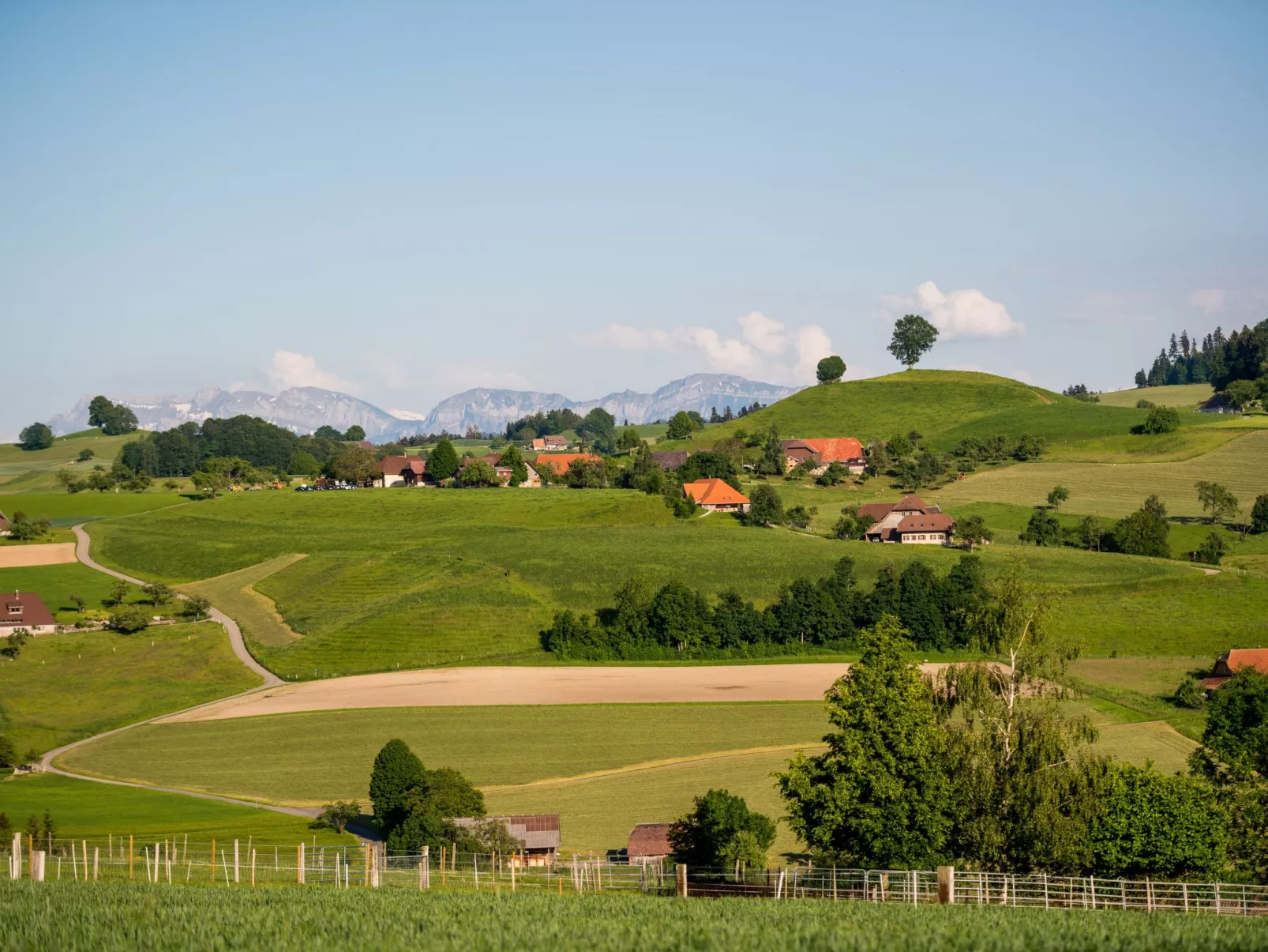 Lamahof Tschäppel-Buiten