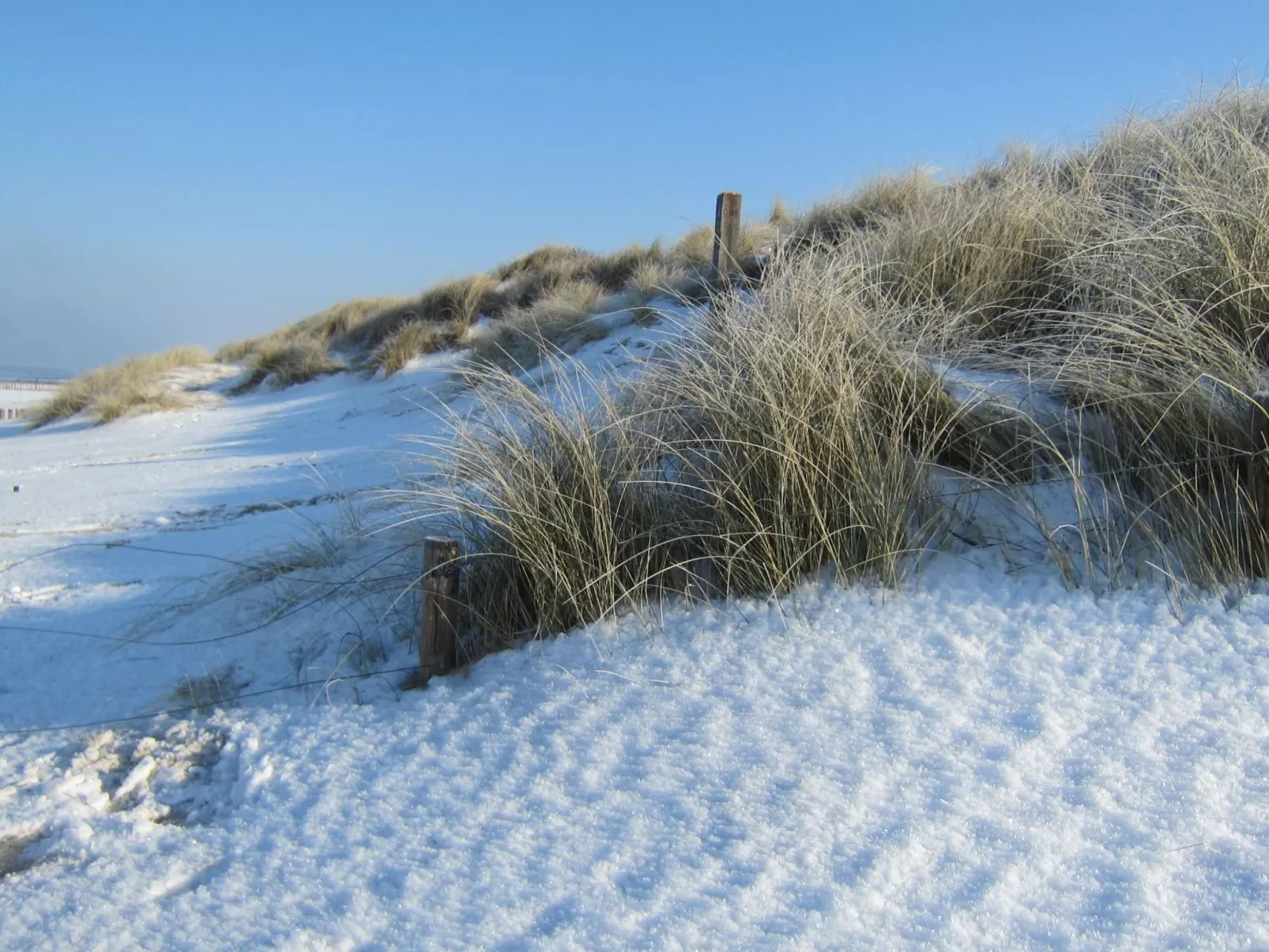 Gemütliches Haus mit komplett umzäuntem Garten-Buiten