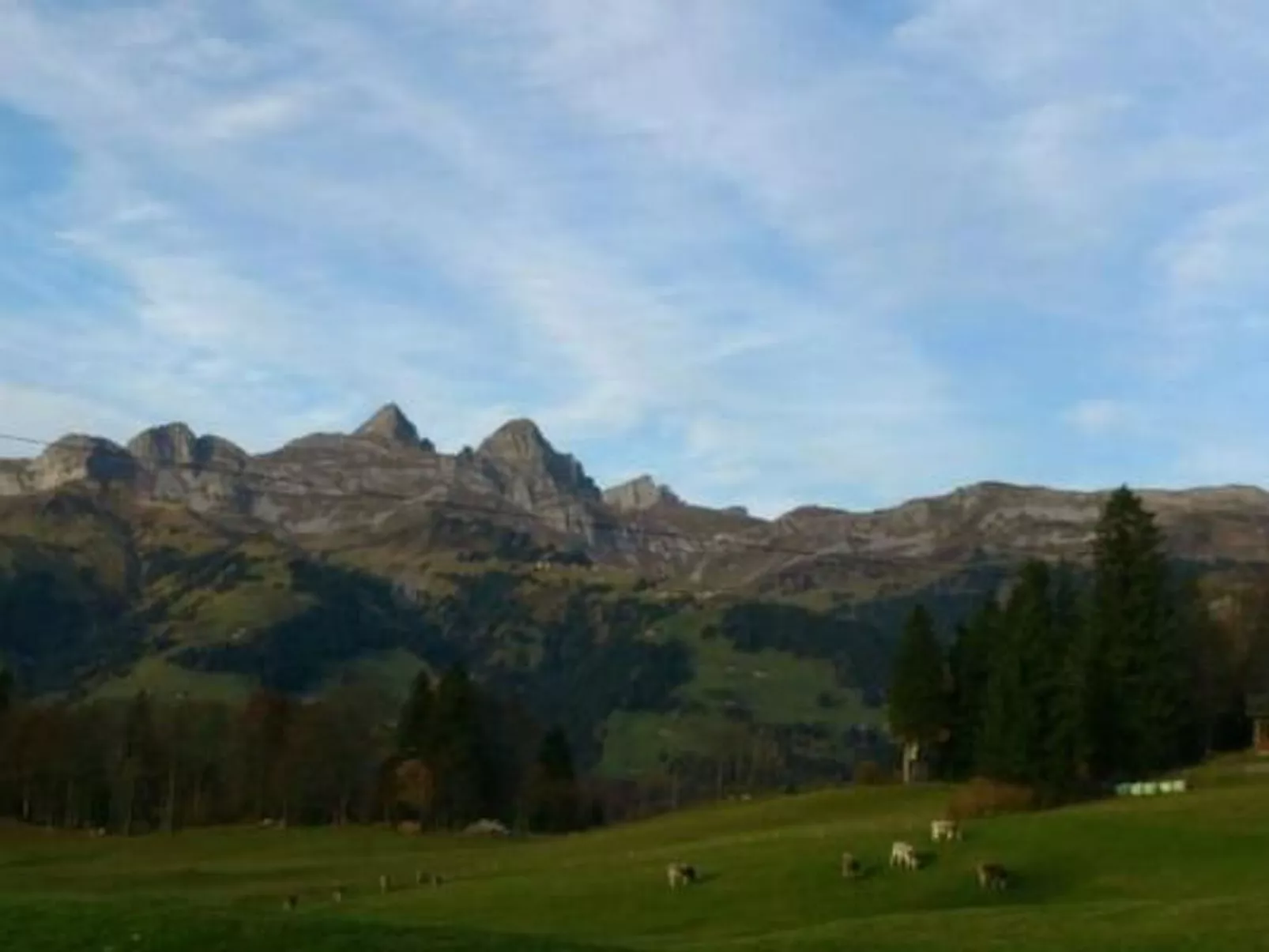 Ferien im grünen rechts-Image-tags.info