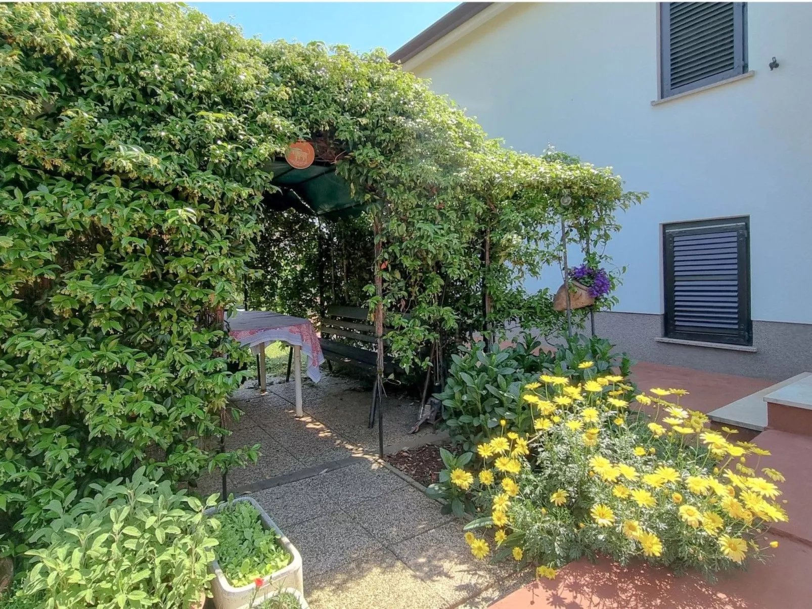 Wohnung "Nadja" mit Blick auf das Wasser-Image-tags.info