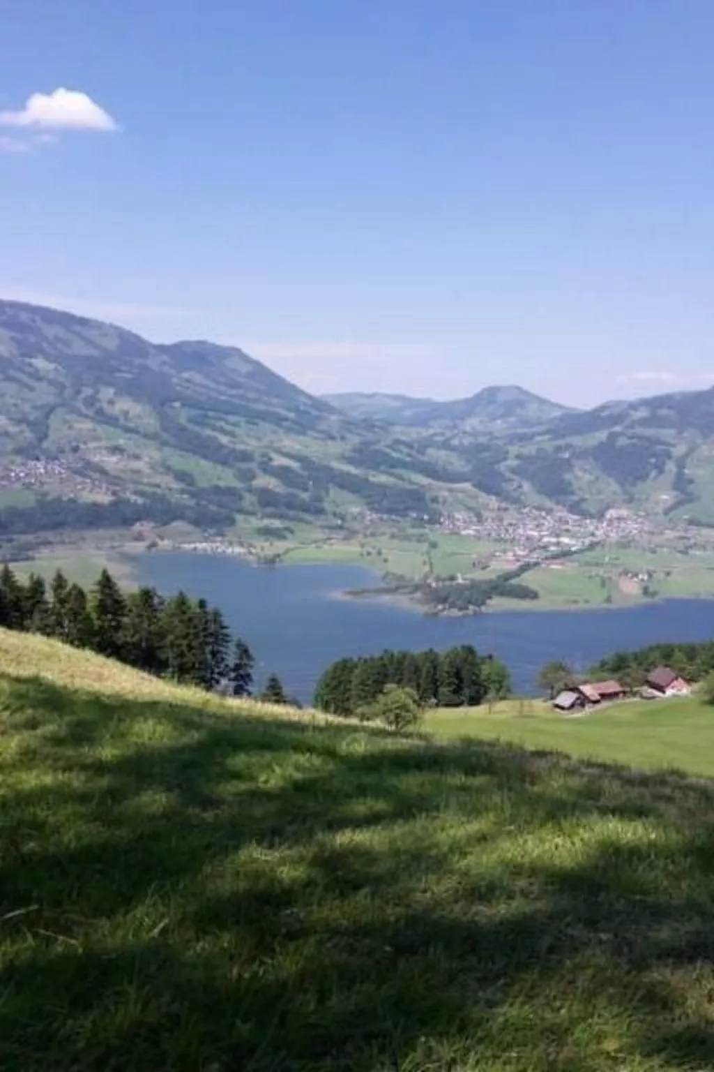 Guntern in Lauerz-Image-tags.info