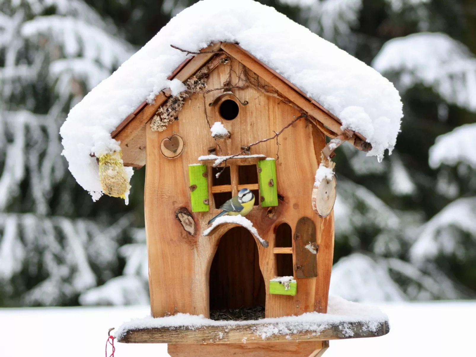 Bungalow mit Garten, Grill und Terrasse-Buiten
