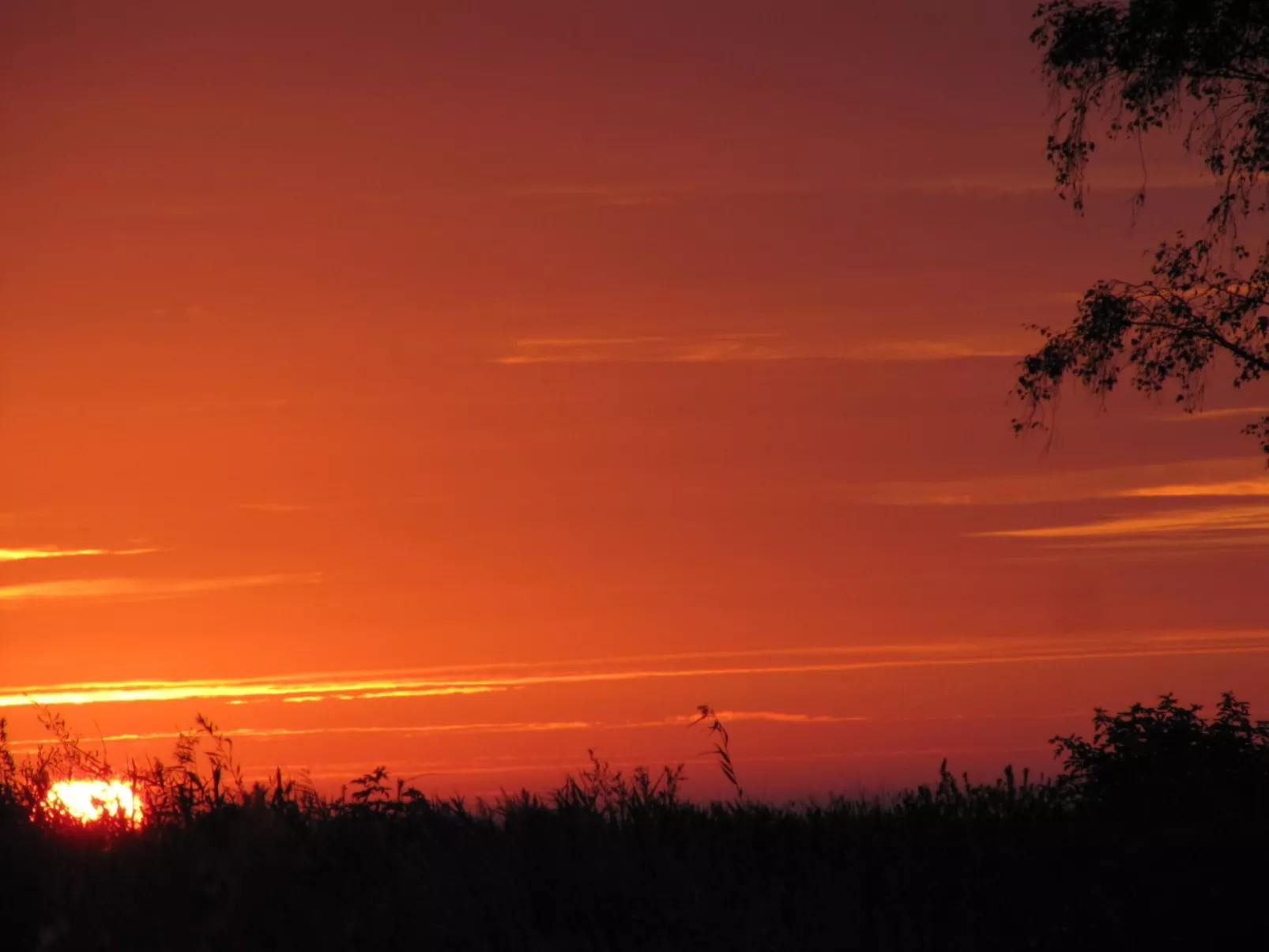 Schönes Ferienhaus mit Terrasse und Grill-Image-tags.info