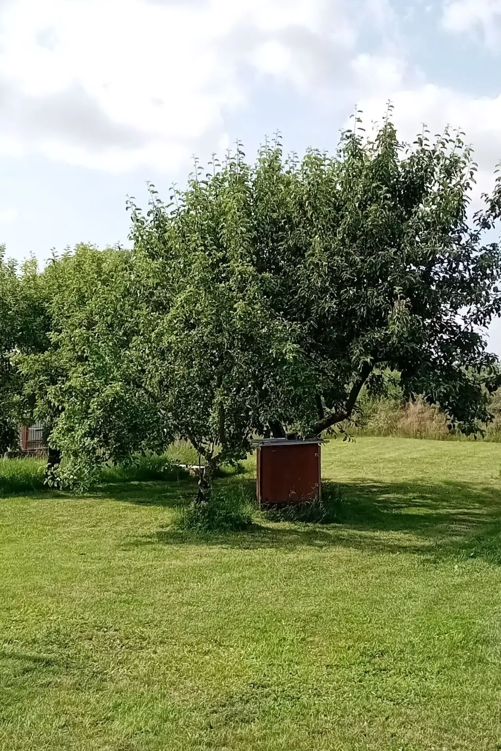 Hof Baethcke - Buiten