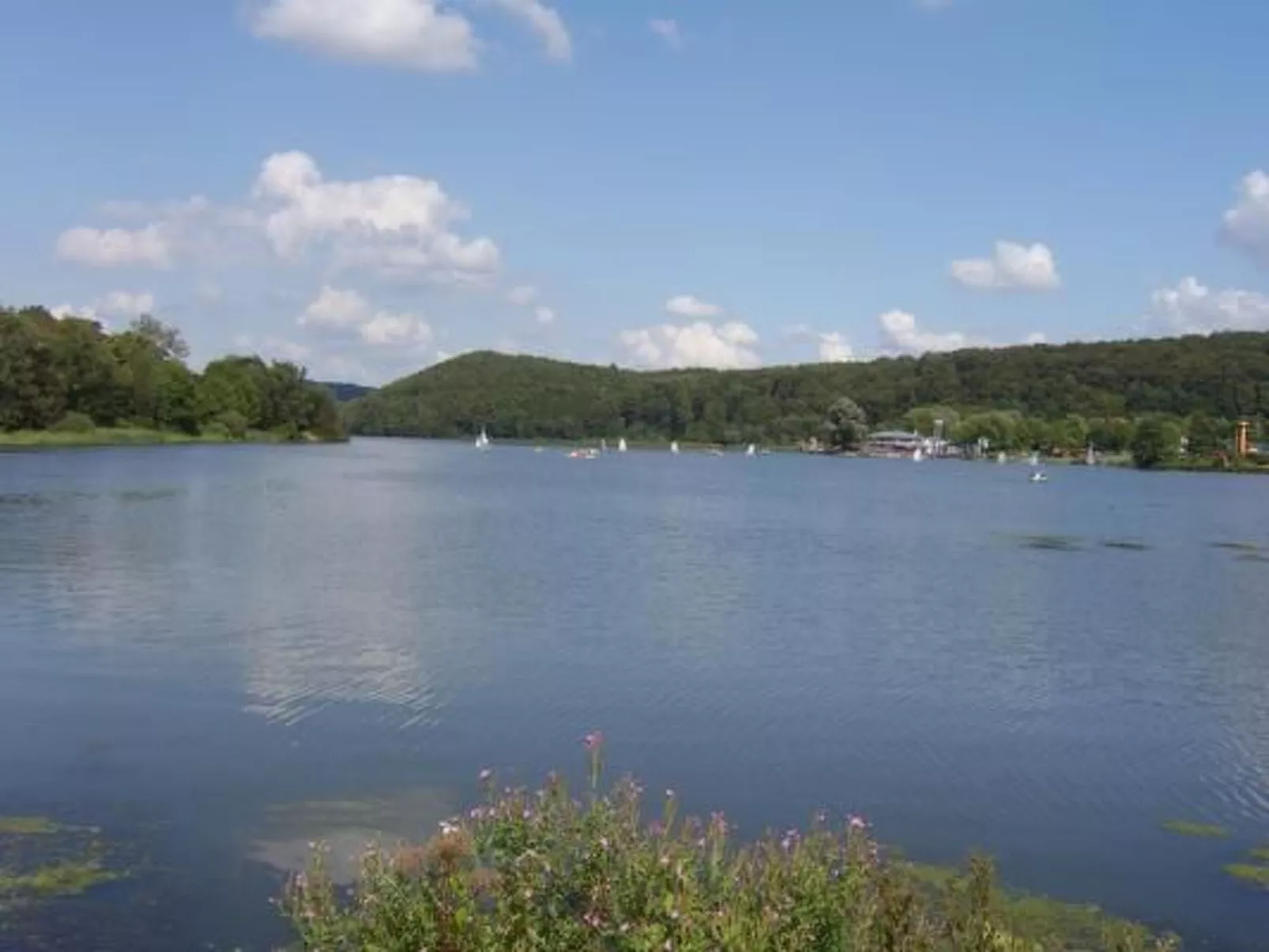 Preiser in Schieder-Schwalenberg-Buiten