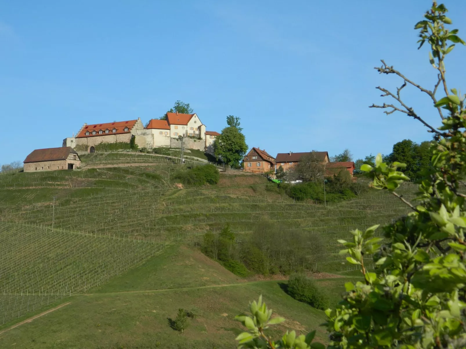 Im Haus Hurst im goldenen Weindorf-Buiten