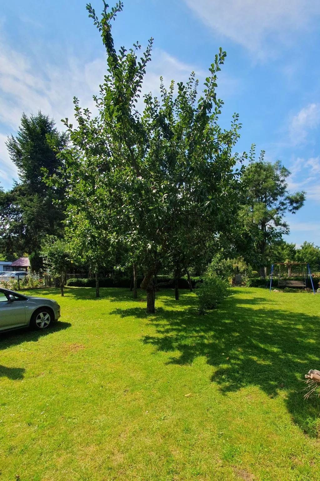 Haus "Am Nussbaum "-Buiten