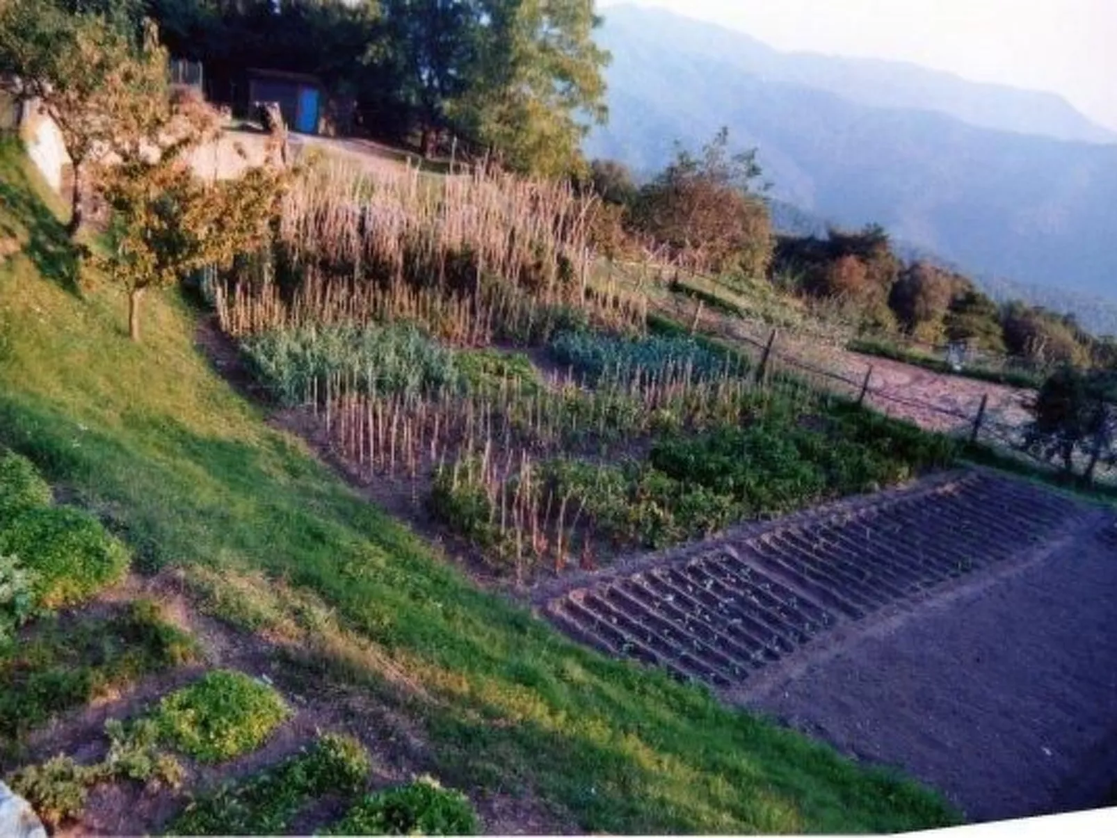 Appartement in Castiglione Chiavarese mit Garten-Buiten