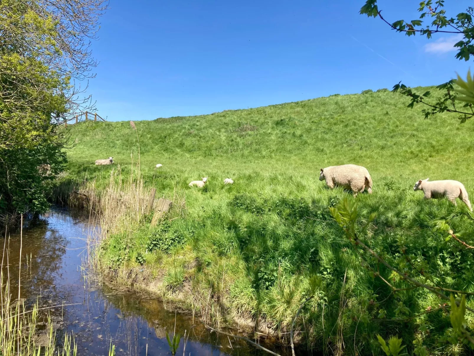 157 Am Deich-Image-tags.info