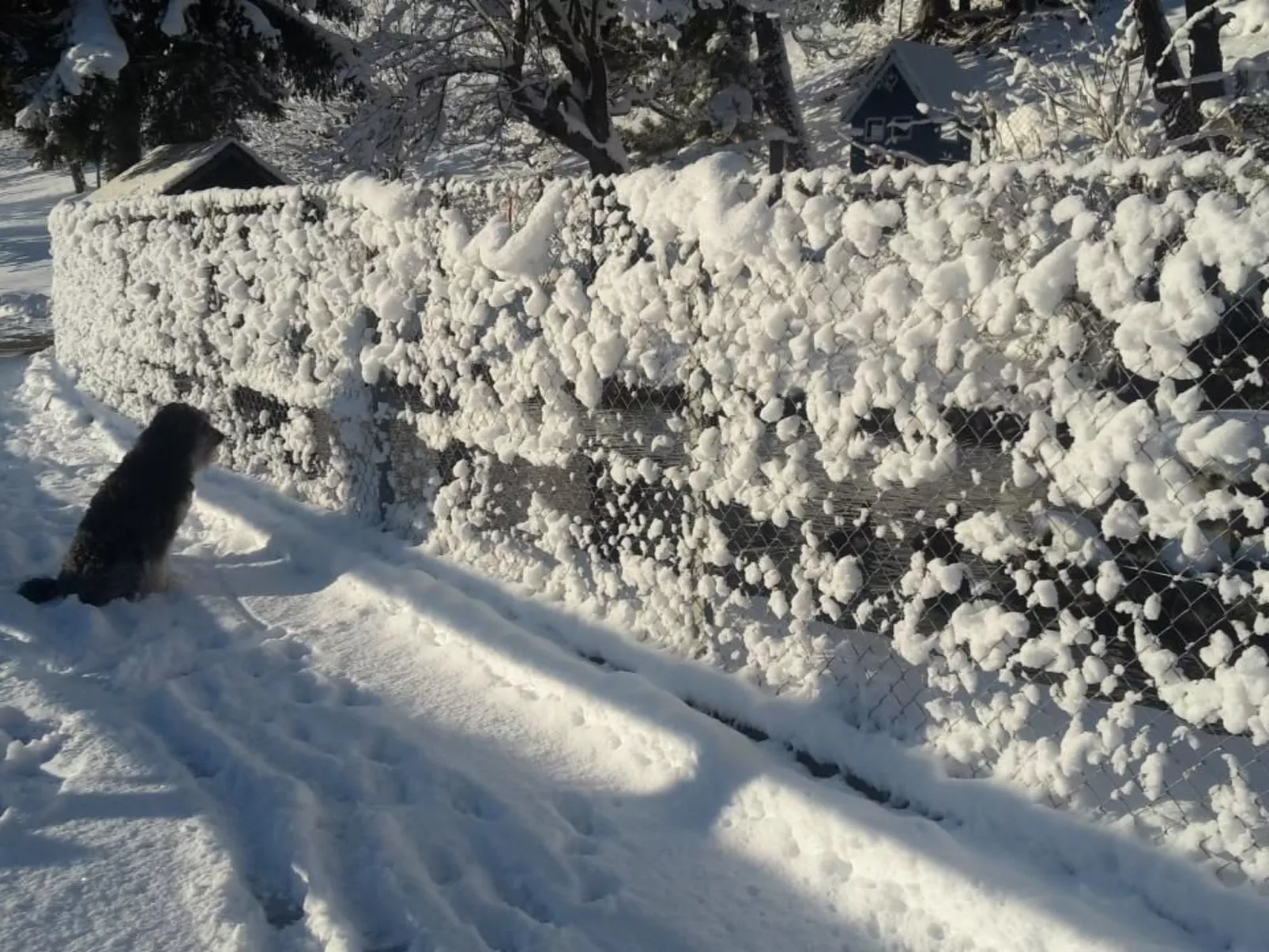 Staudenhof Viamala-Buiten