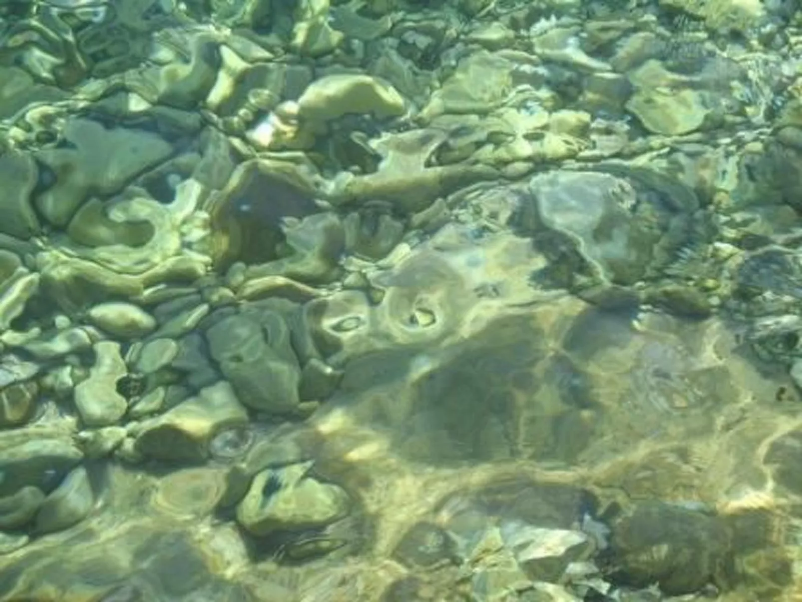 Wohnung in Zavala mit schönem Garten-Buiten