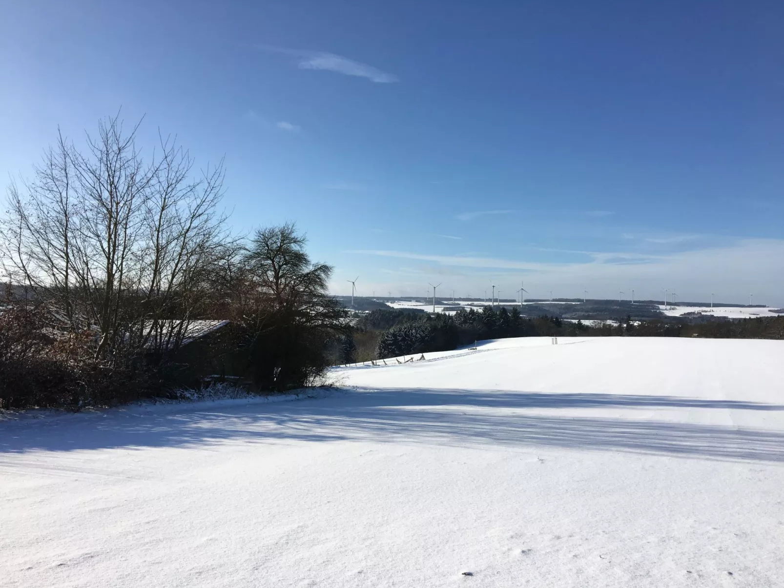 FeWo 5 Jahreszeiten-Buiten